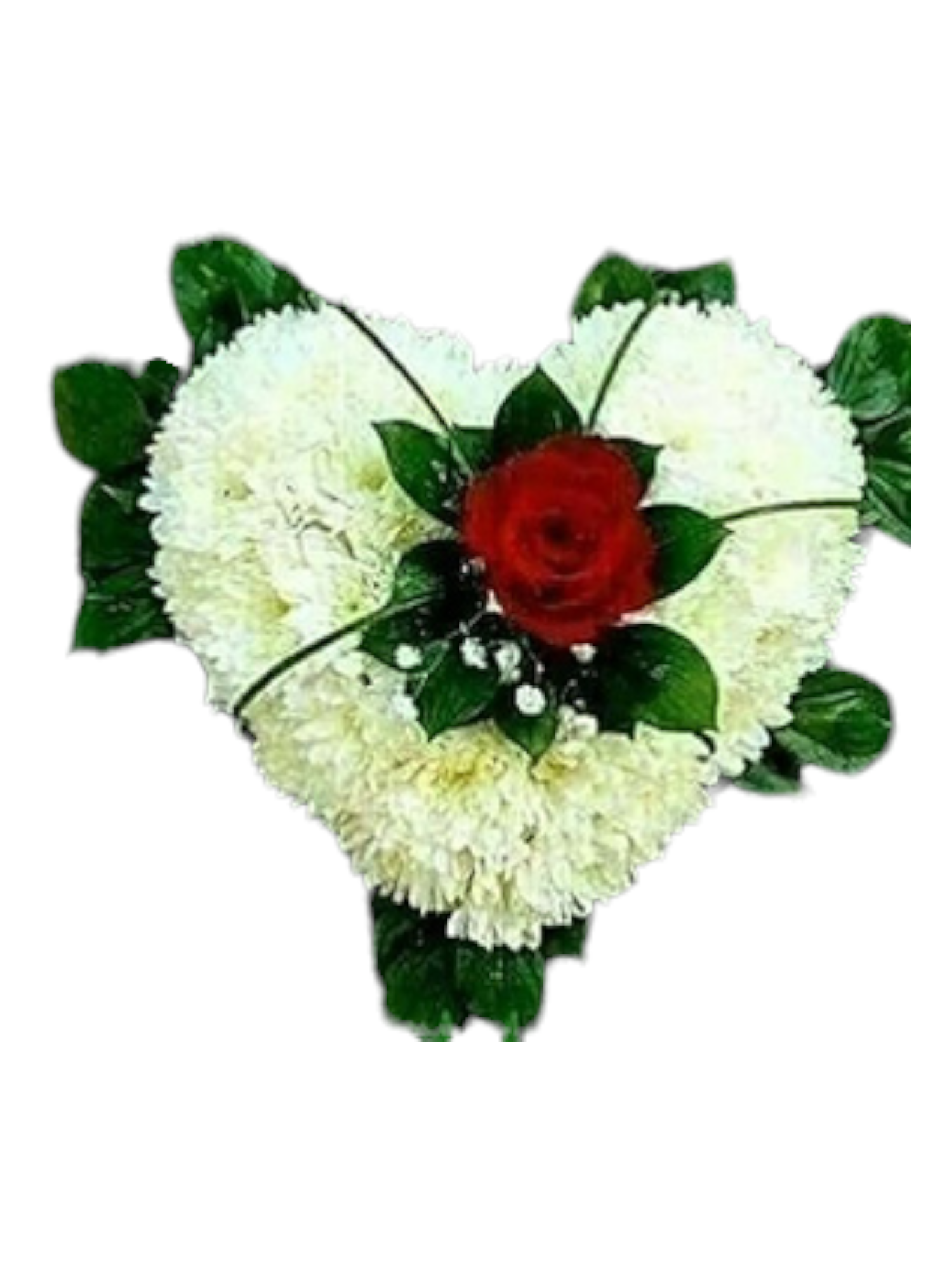 Featured image for “Cuore funebre con rosa rossa”