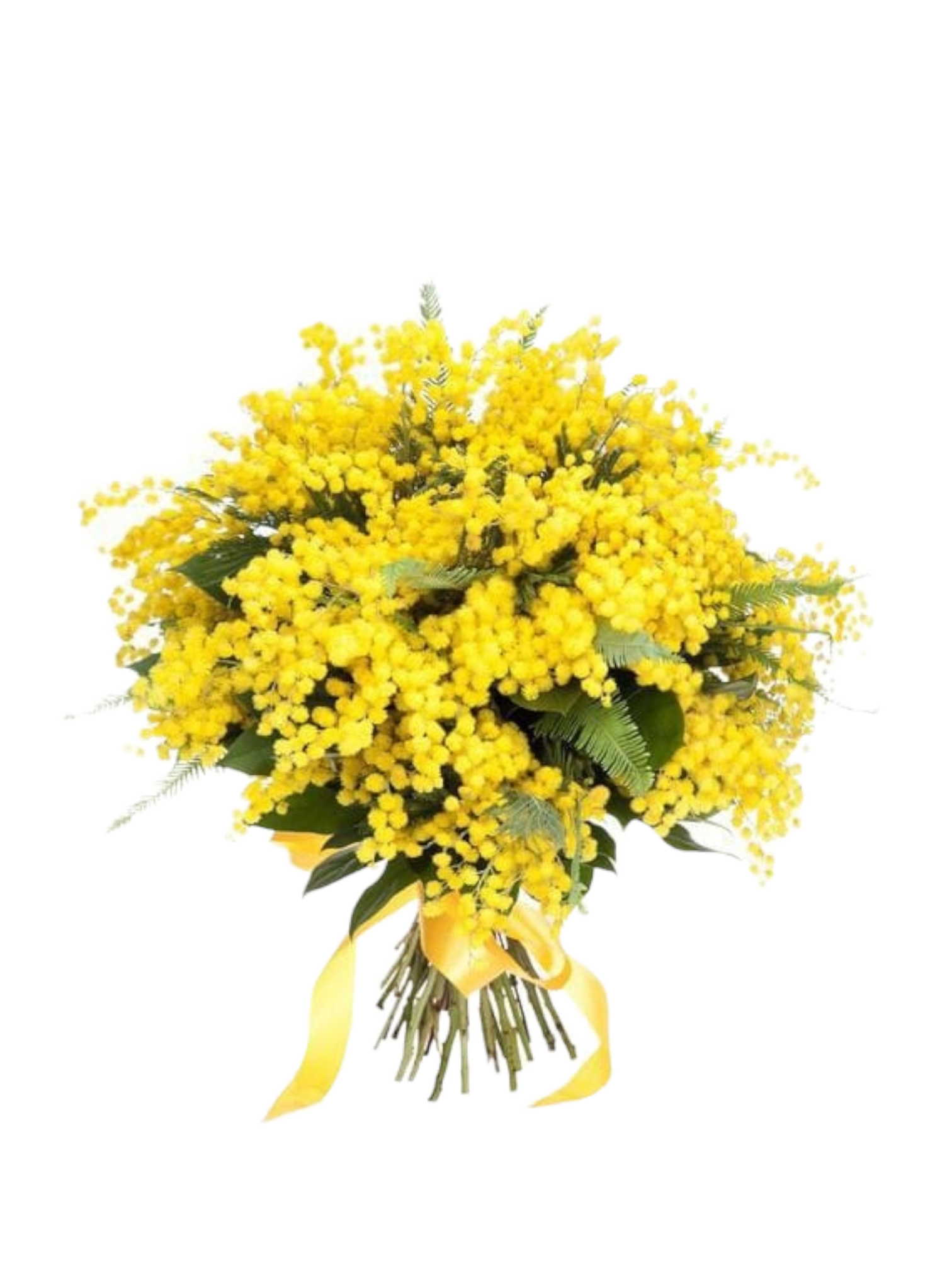 Bouquet Mimosa