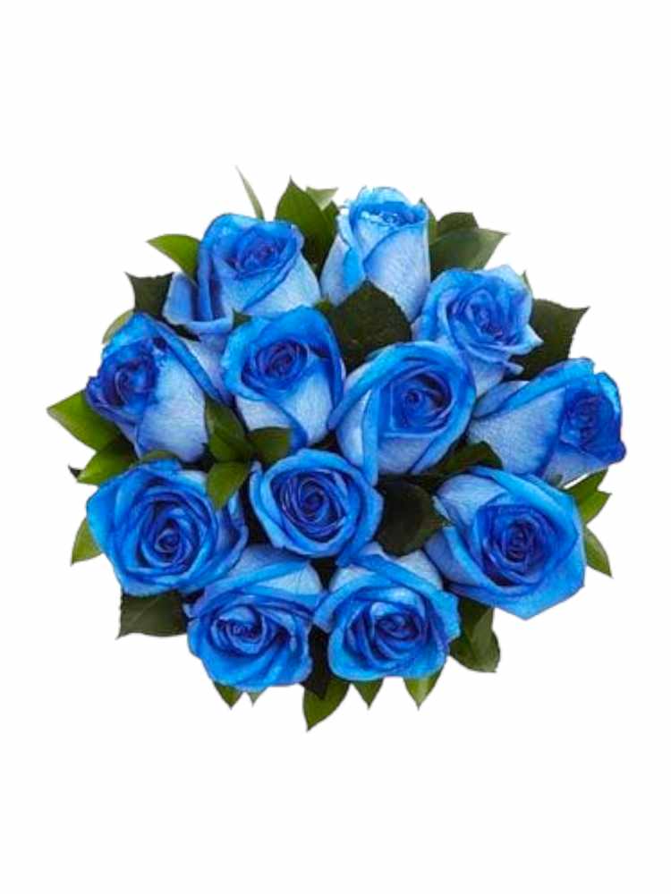 Featured image for “Bouquet 12 rose blu gambo corto”
