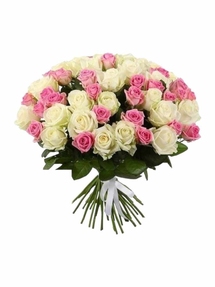 Featured image for “Bouquet di 50 rose bianche e rosa”