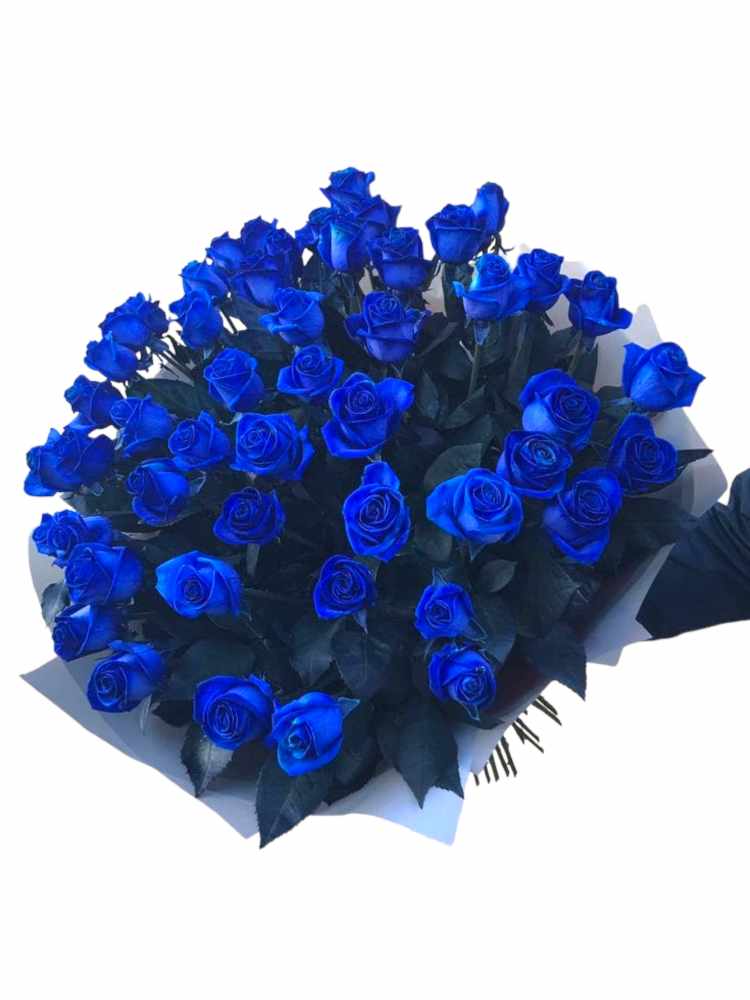 Featured image for “Bouquet di 50 rose blu a gambo lungo”