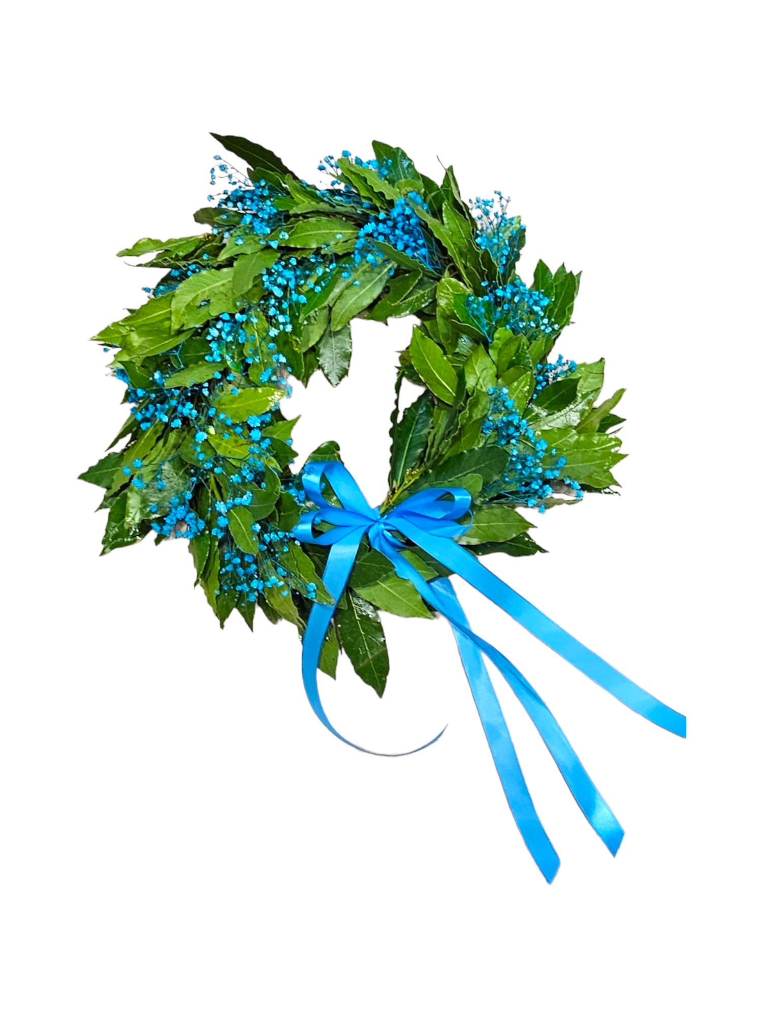 Featured image for “Coroncina per laurea con gypsophila celeste”
