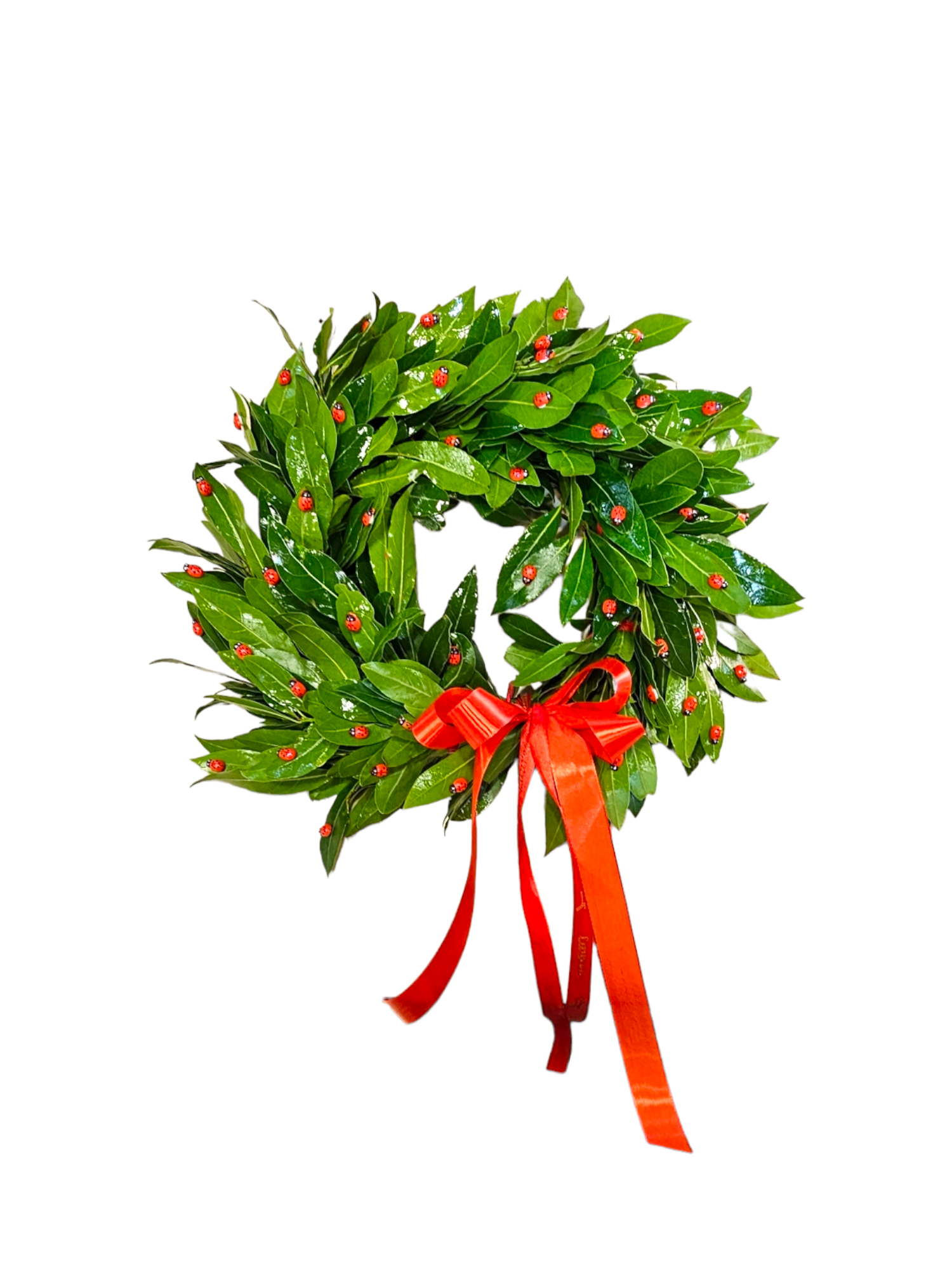 Featured image for “Coroncina per laurea con coccinelle”
