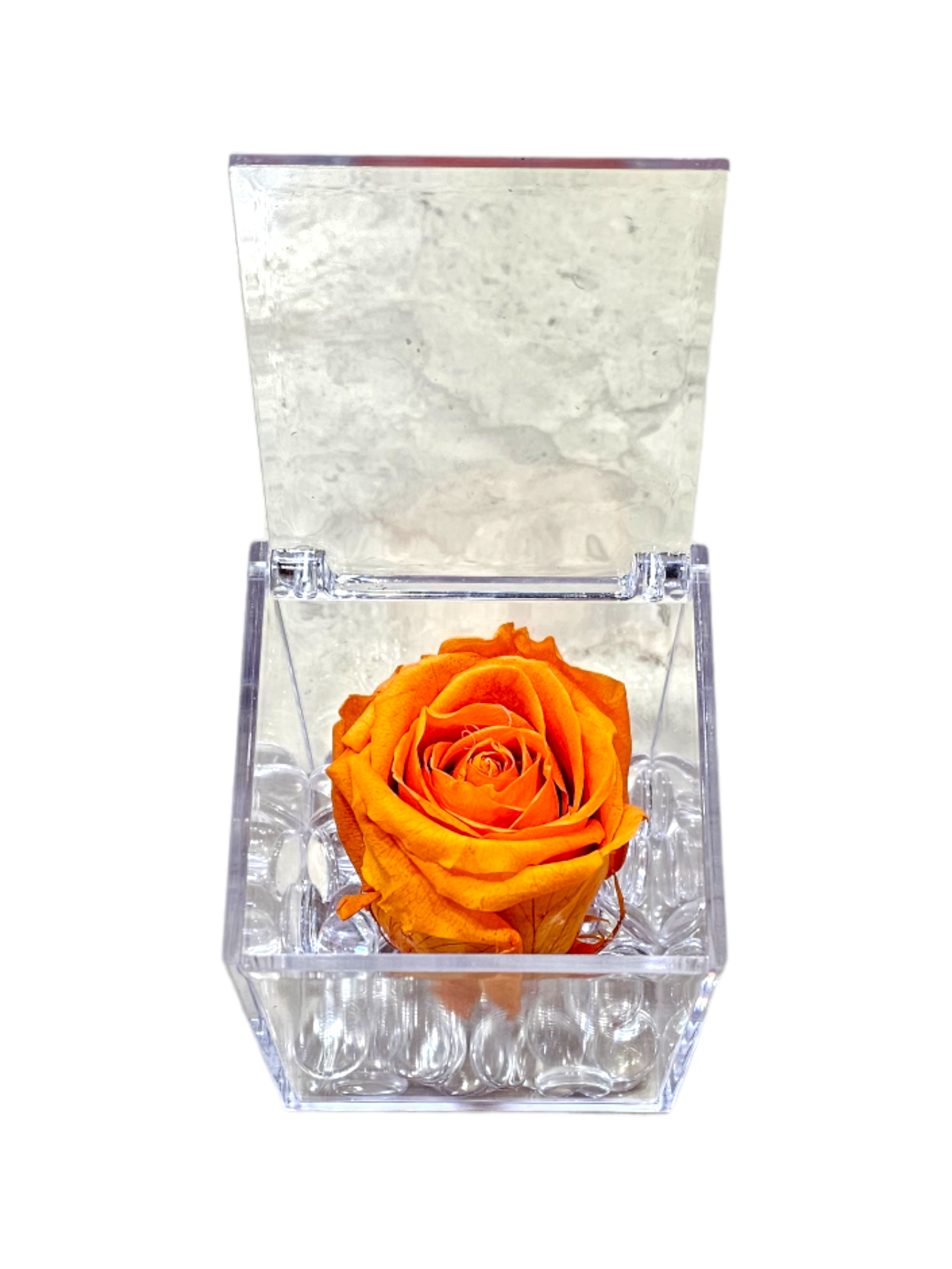 Rose stabilizzate in cubo (grande) - immagine 5