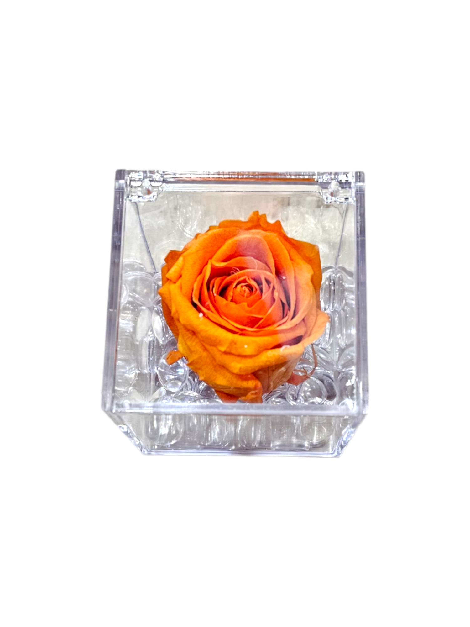 Rosa stabilizzata arancione in cubo trasparente grande
