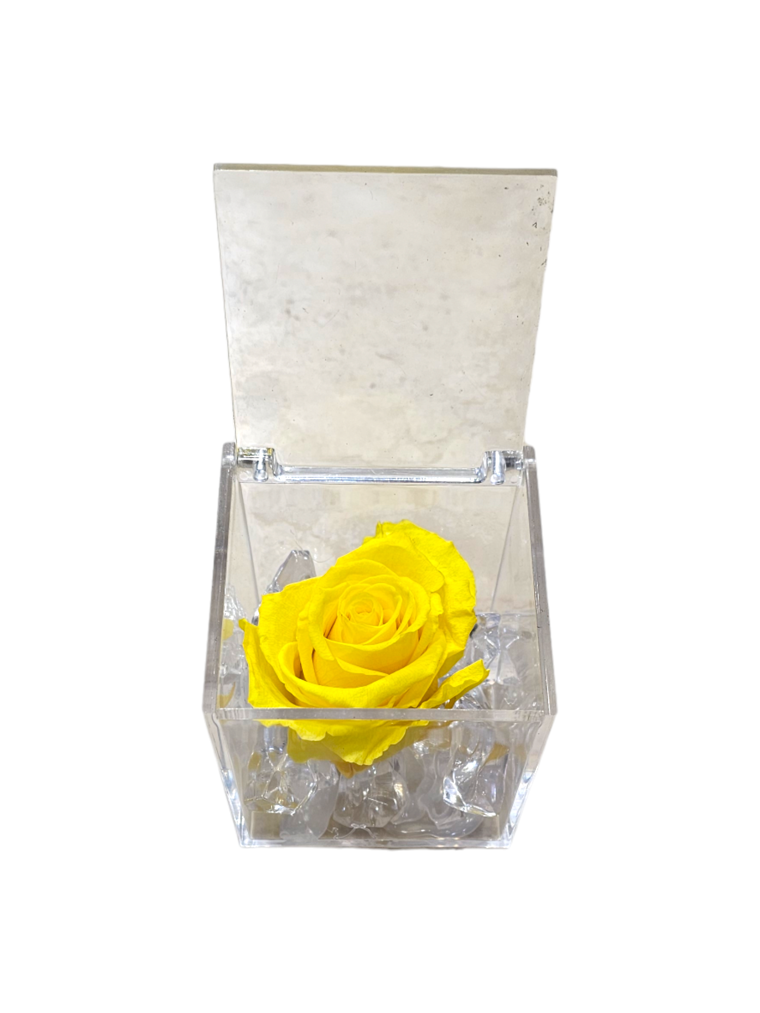 Rose stabilizzate in cubo (grande) - immagine 7