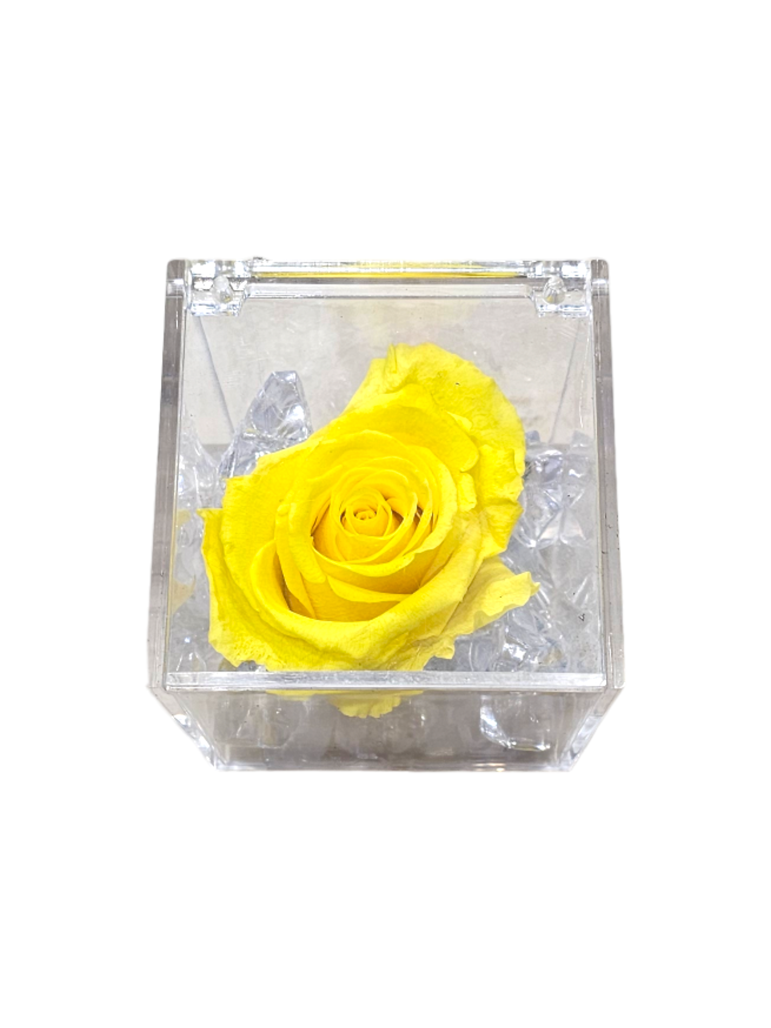 Rosa stabilizzata gialla in cubo trasparente grande