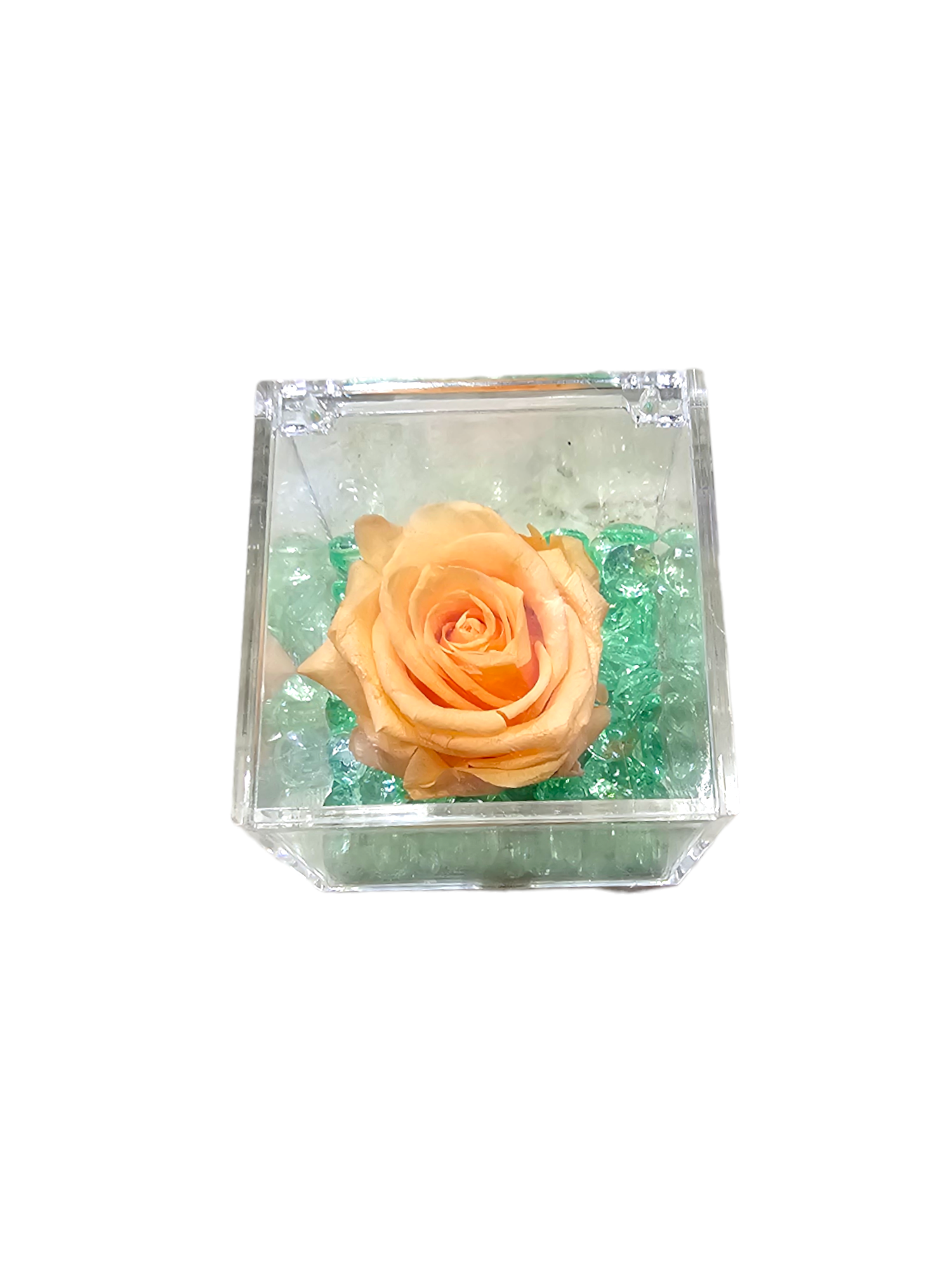 Rosa stabilizzata color pesca in cubo trasparente grande