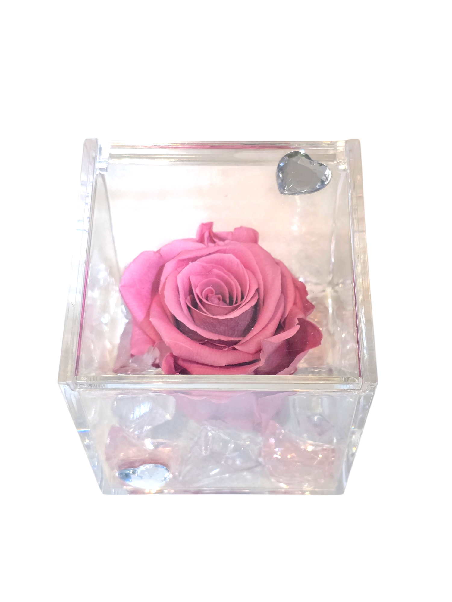 Rosa stabilizzata rosa in cubo trasparente grande