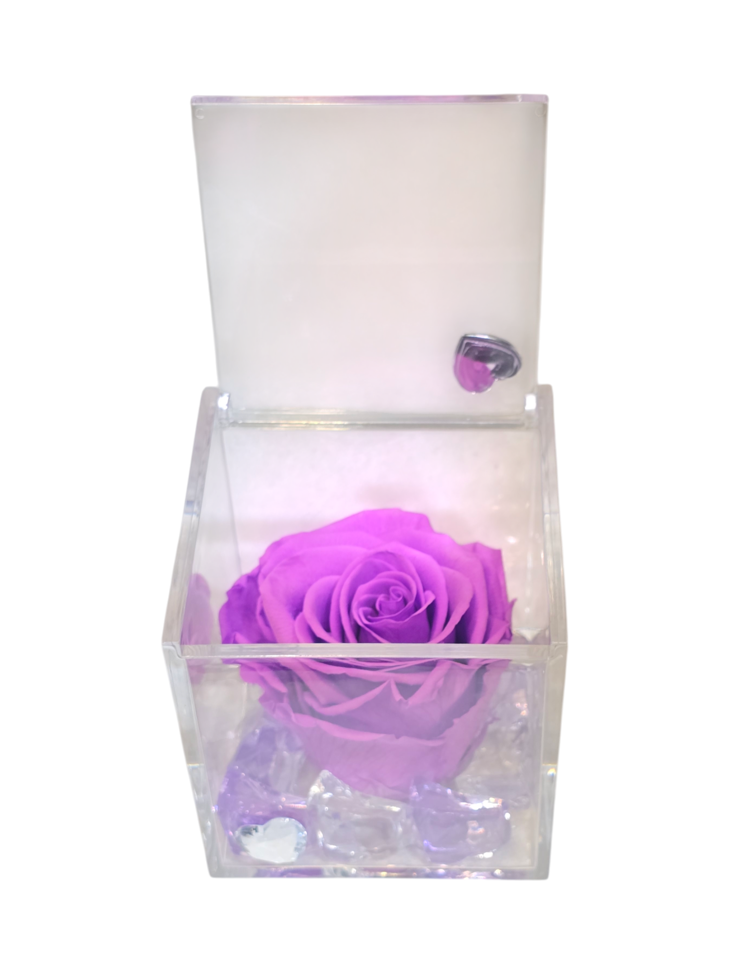 Rose stabilizzate in cubo (grande) - immagine 14