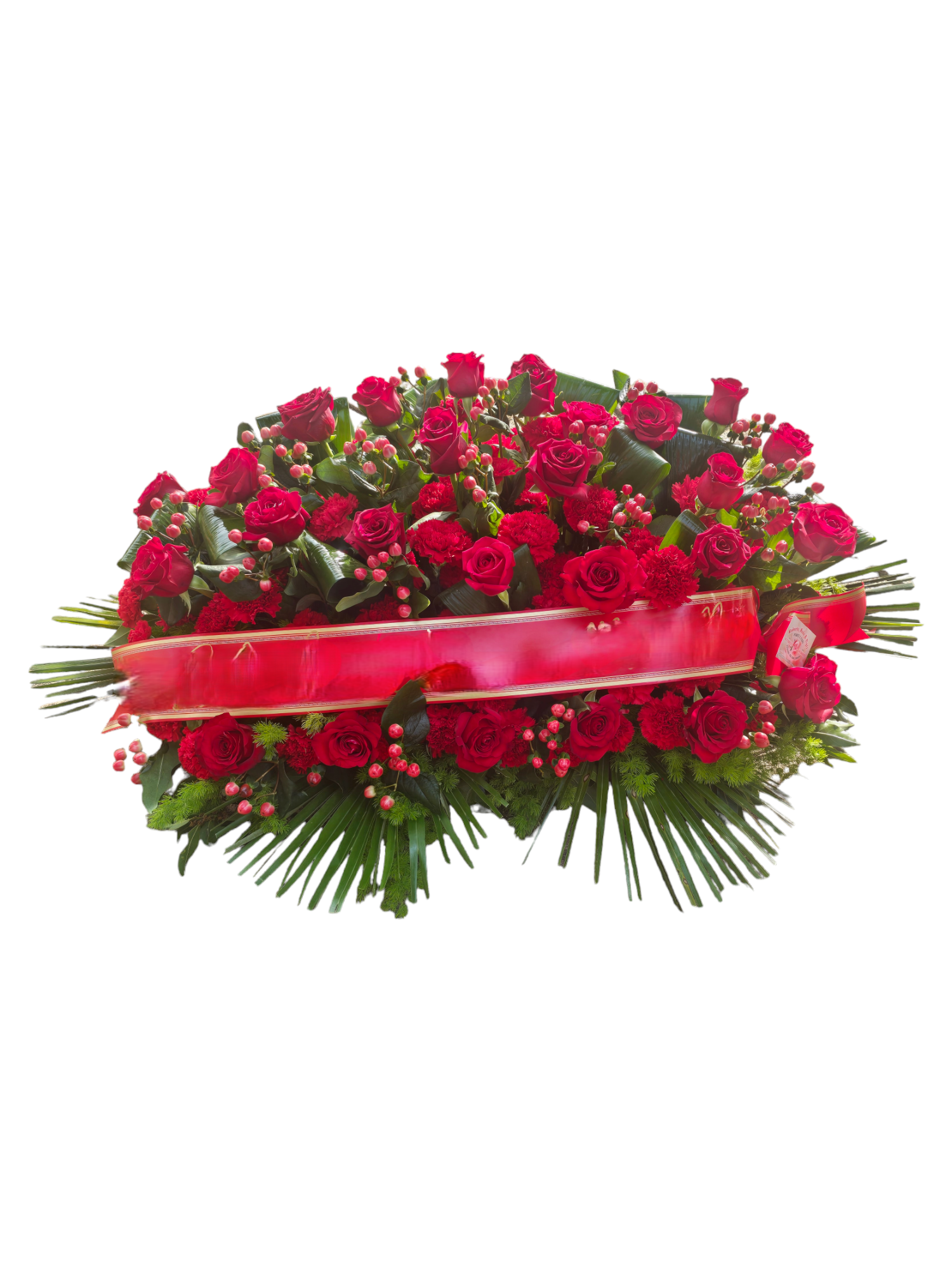 Featured image for “Cuscino Red”
