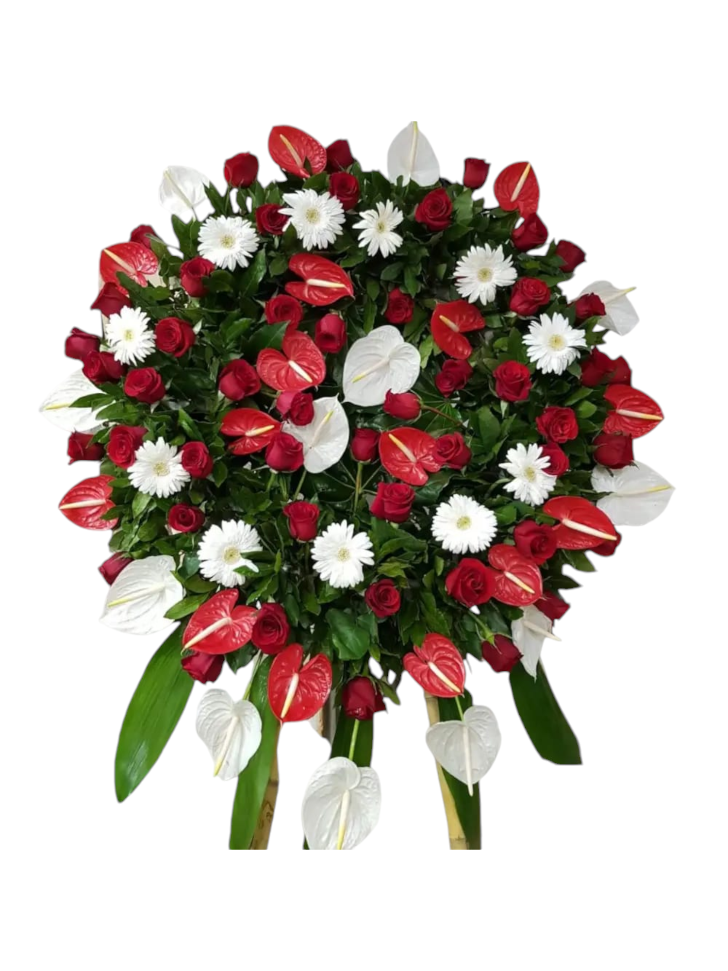 Featured image for “Corona funebre anthurium”