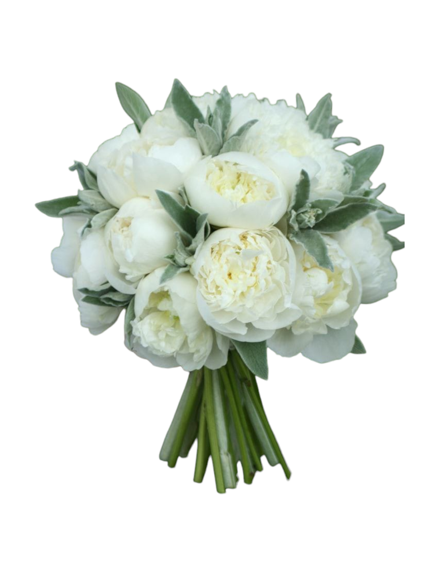 Featured image for “Bouquet da sposa peonie bianche”