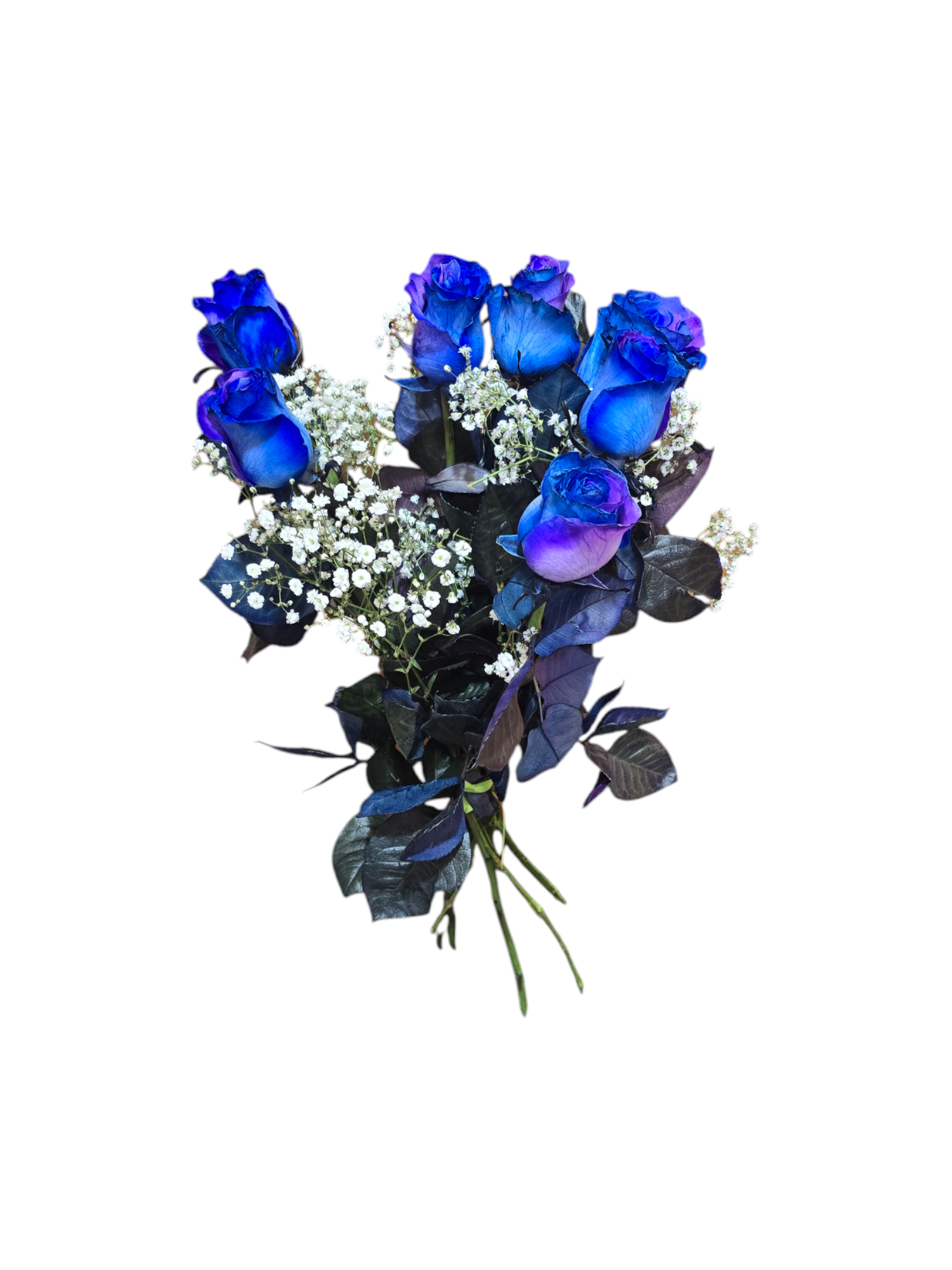 Featured image for “Rose blu a gambo lungo (Prezzo per stelo -Componi il tuo mazzo)”
