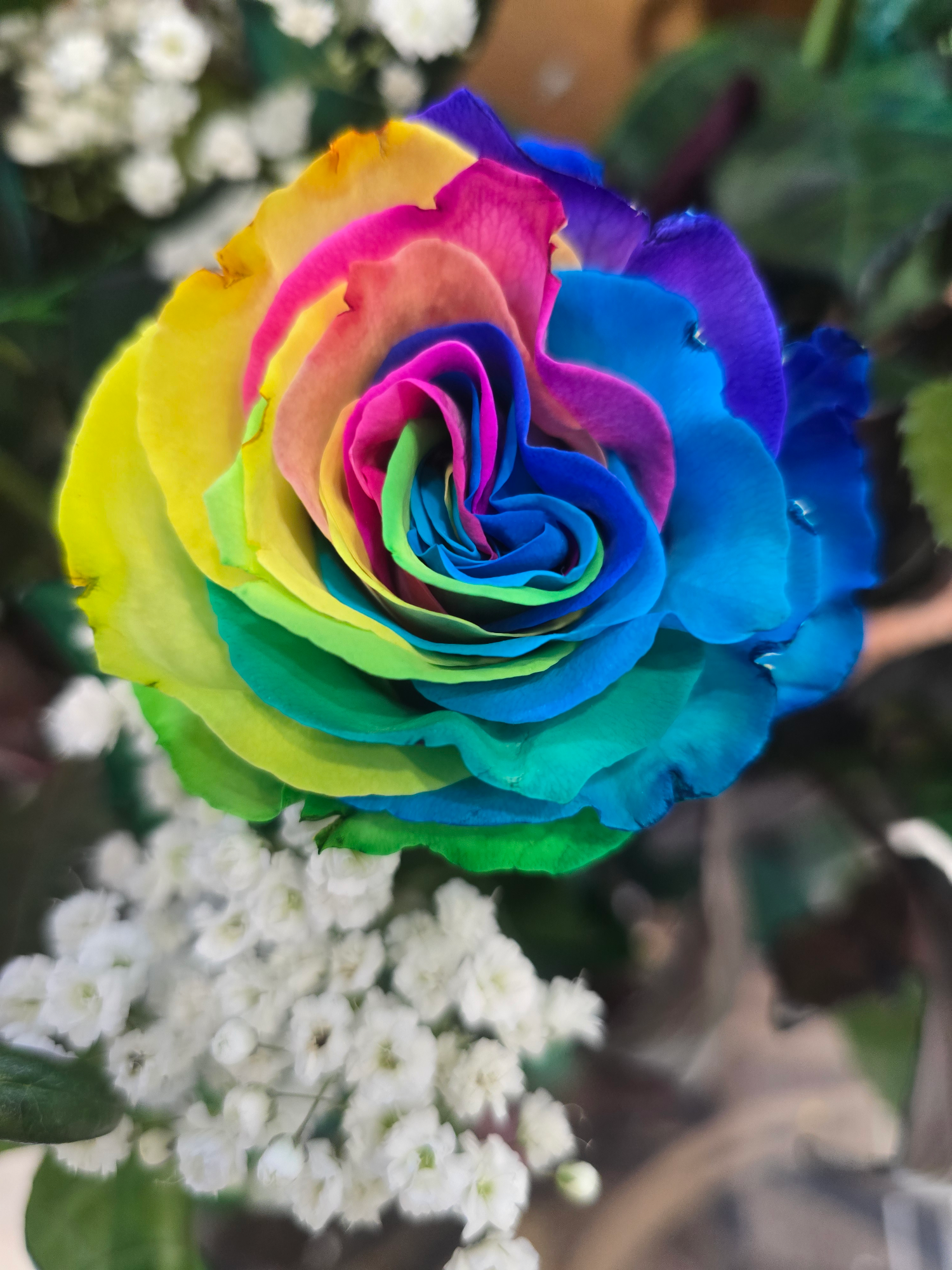 Rose rainbow a gambo lungo (Prezzo per Stelo - Composizione a scelta) - immagine 2