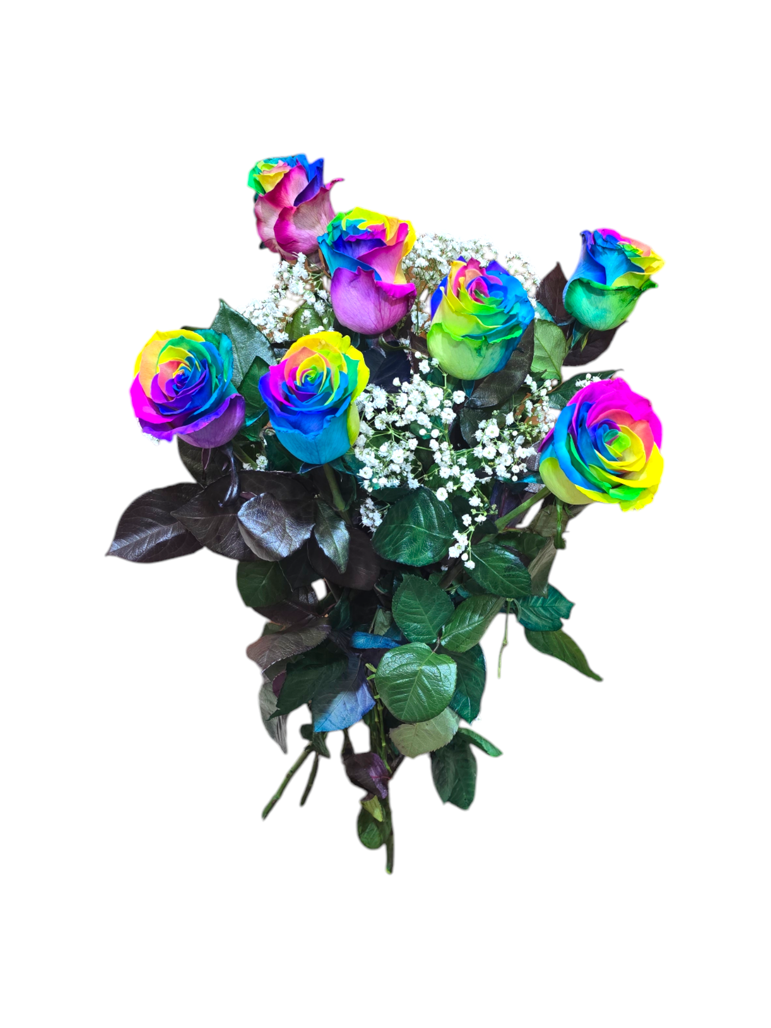 Featured image for “Rose rainbow a gambo lungo (Prezzo per Stelo - Composizione a scelta)”