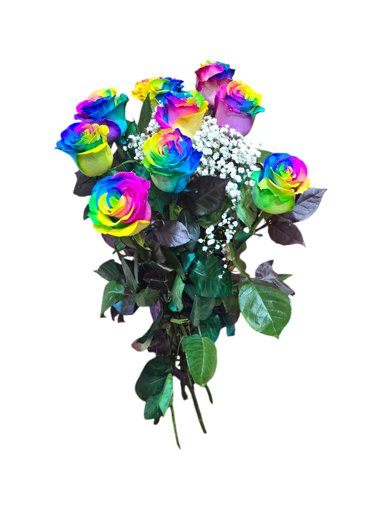 Bouquet di 9 Rose rainbow a gambo lungo