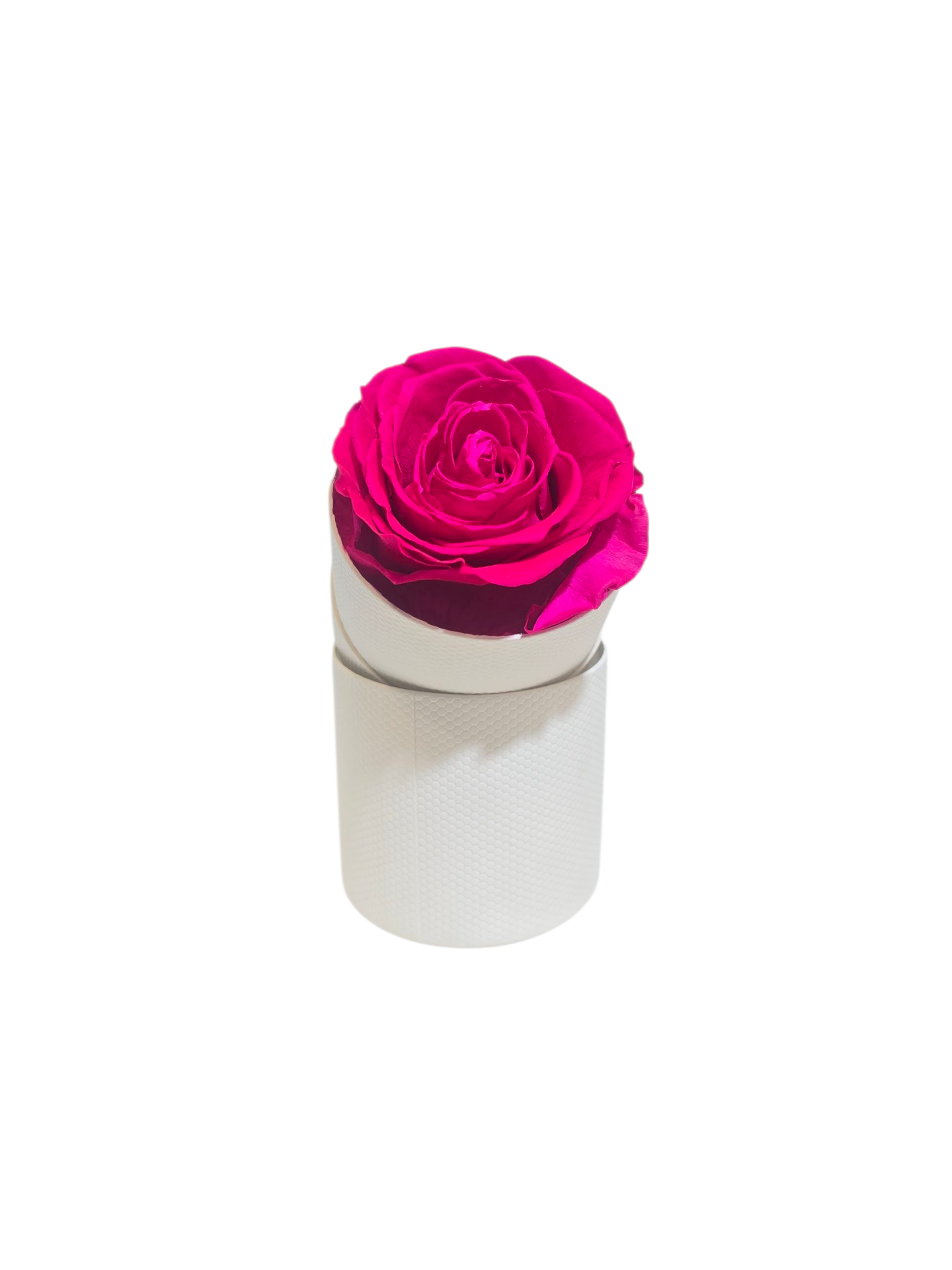 Rosa Stabilizzata in Cilindro – Flower Box Elegante - immagine 2