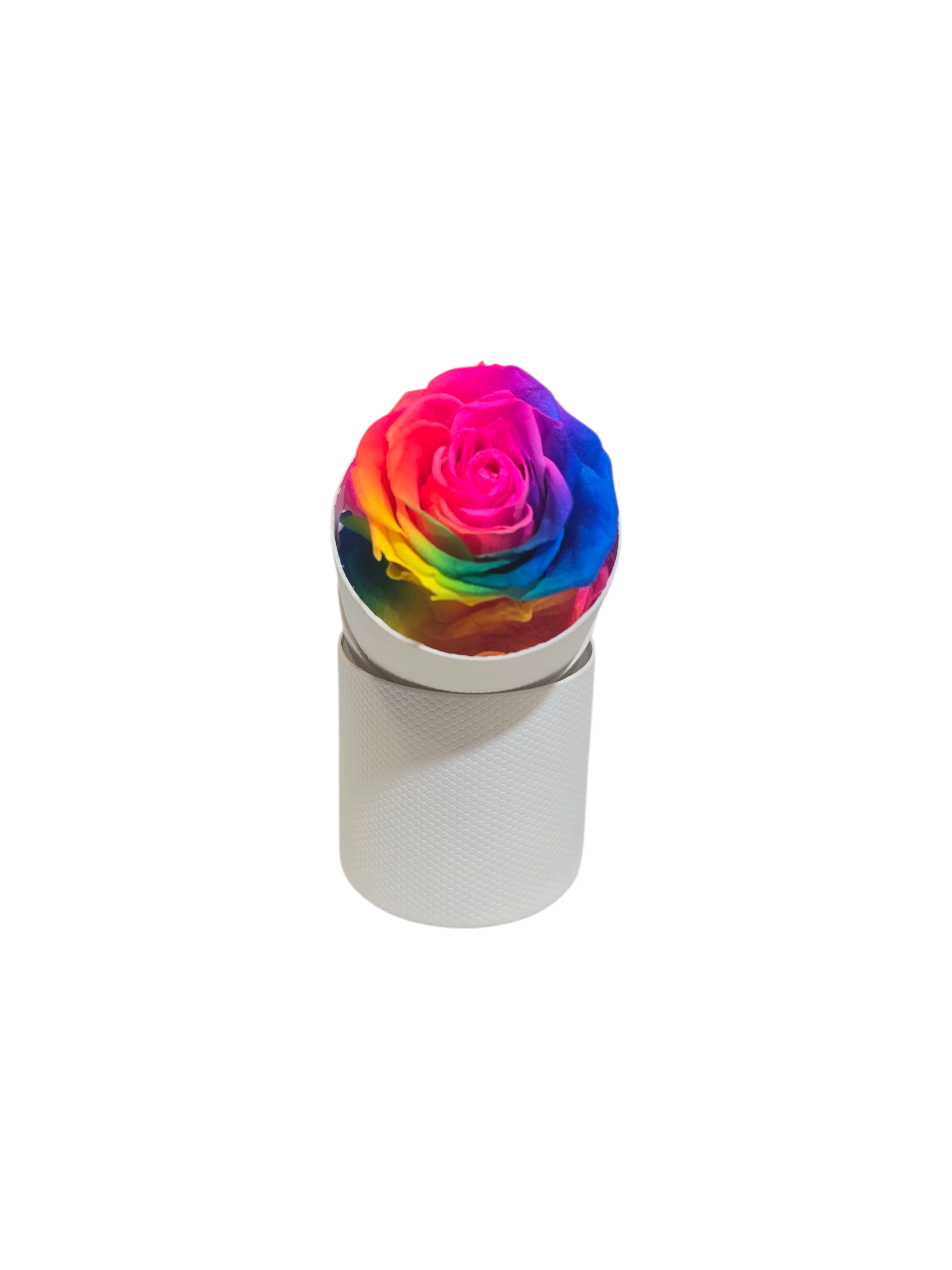 Rosa Stabilizzata in Cilindro – Flower Box Elegante - immagine 5