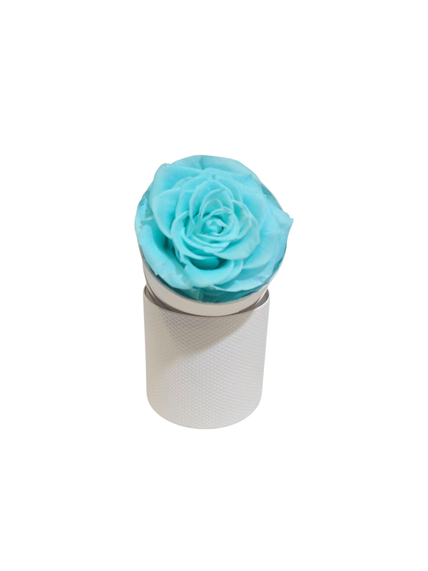 Rosa Stabilizzata in Cilindro – Flower Box Elegante - immagine 6