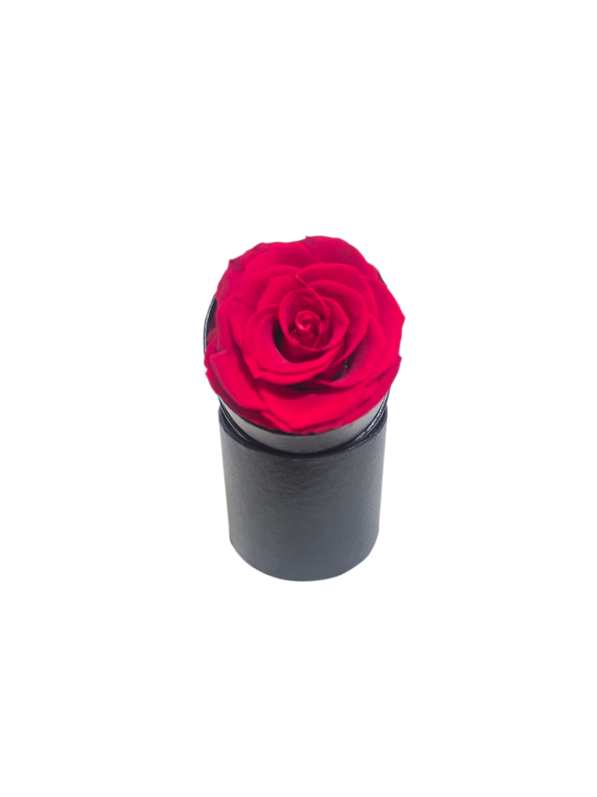Rosa Stabilizzata in Cilindro – Flower Box Elegante - immagine 7