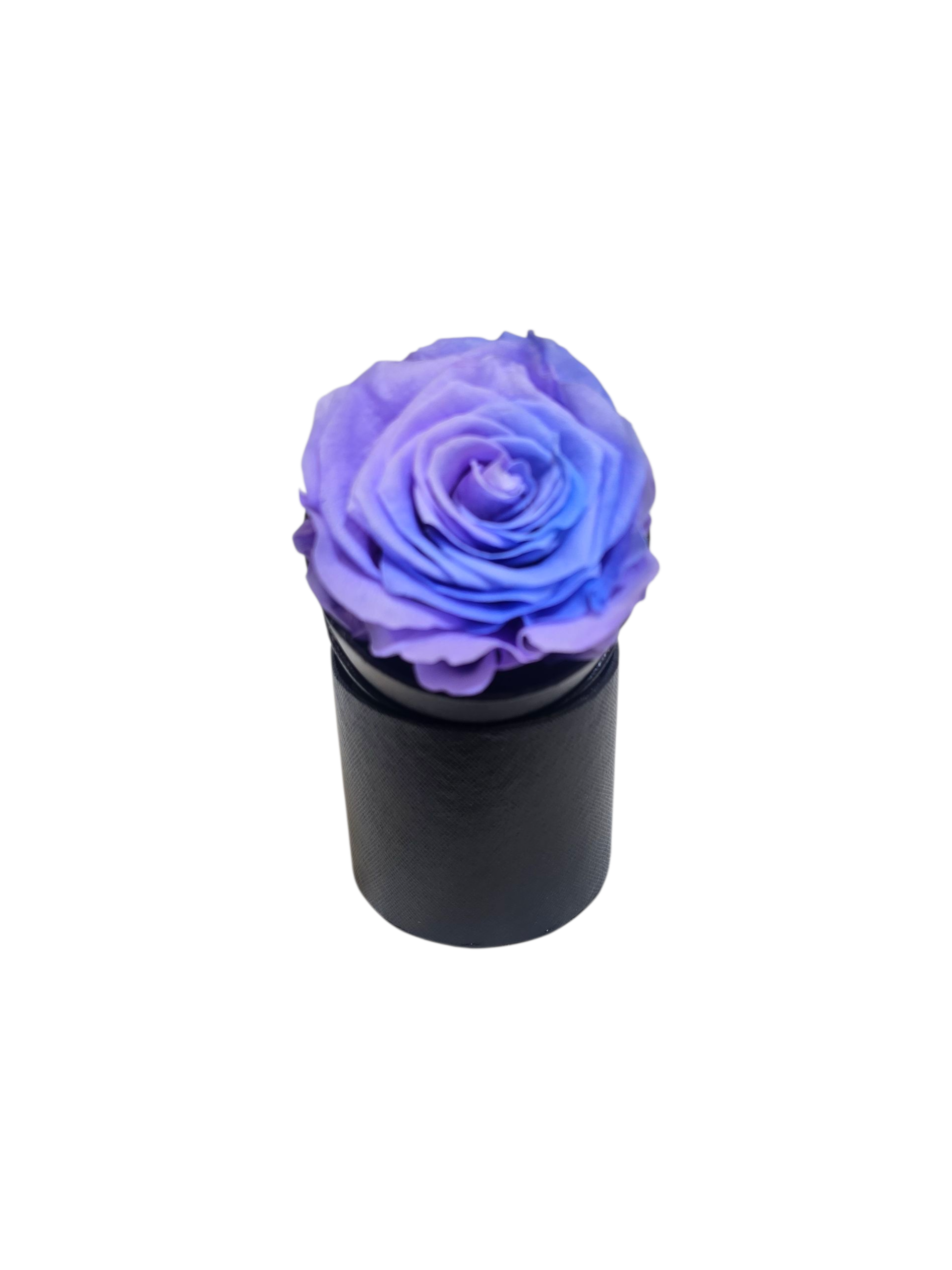 Rosa Stabilizzata in Cilindro – Flower Box Elegante - immagine 8