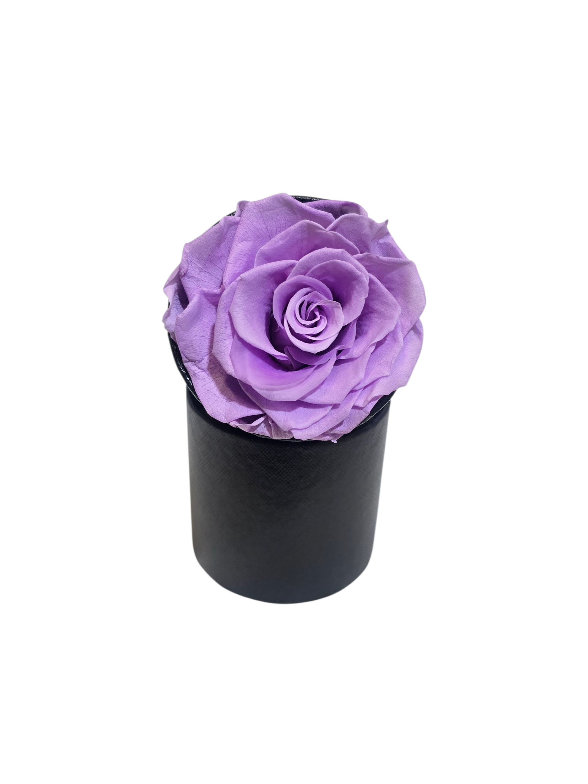 Rosa Stabilizzata in Cilindro – Flower Box Elegante - immagine 9
