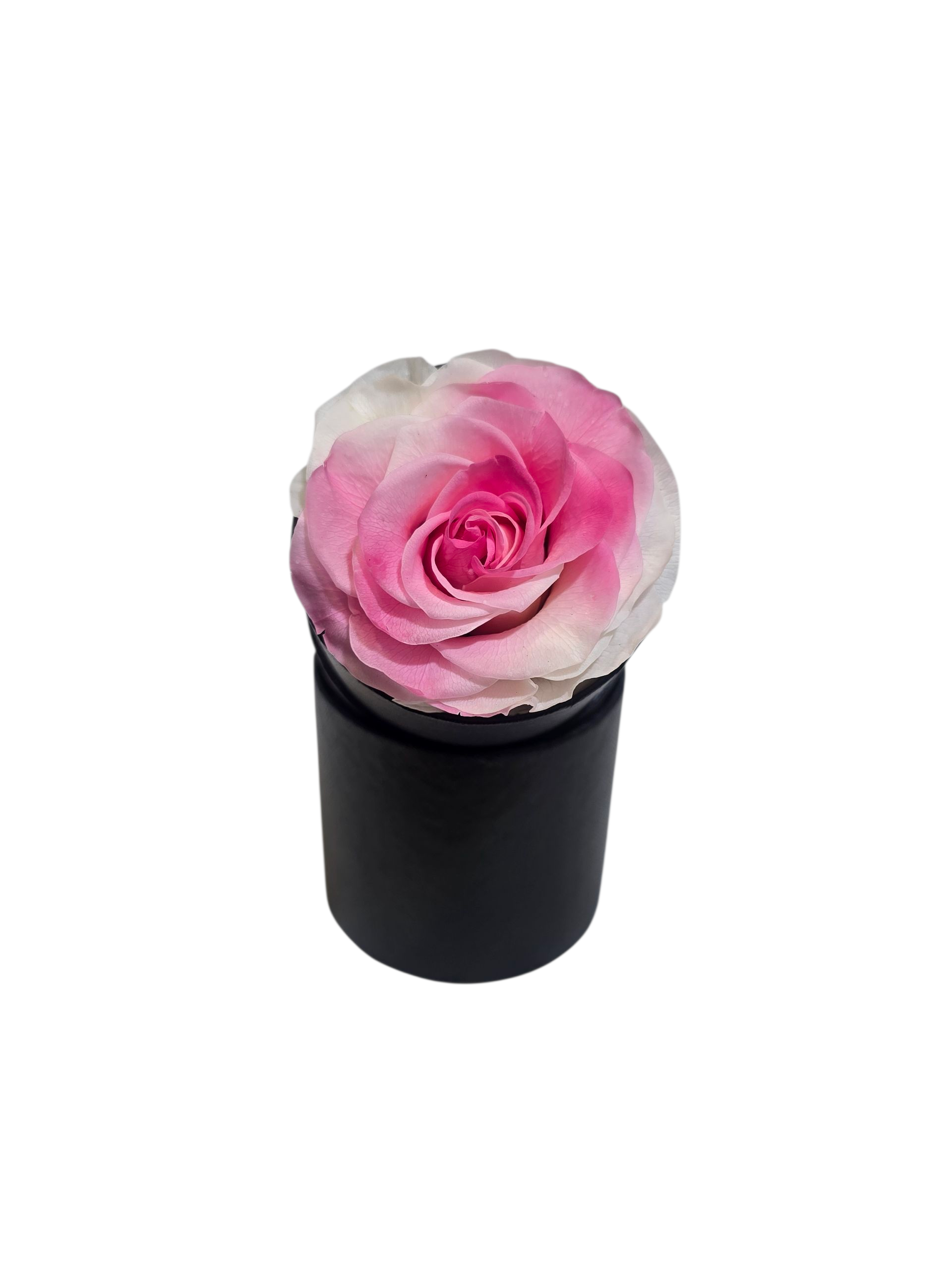 Rosa Stabilizzata in Cilindro – Flower Box Elegante - immagine 10
