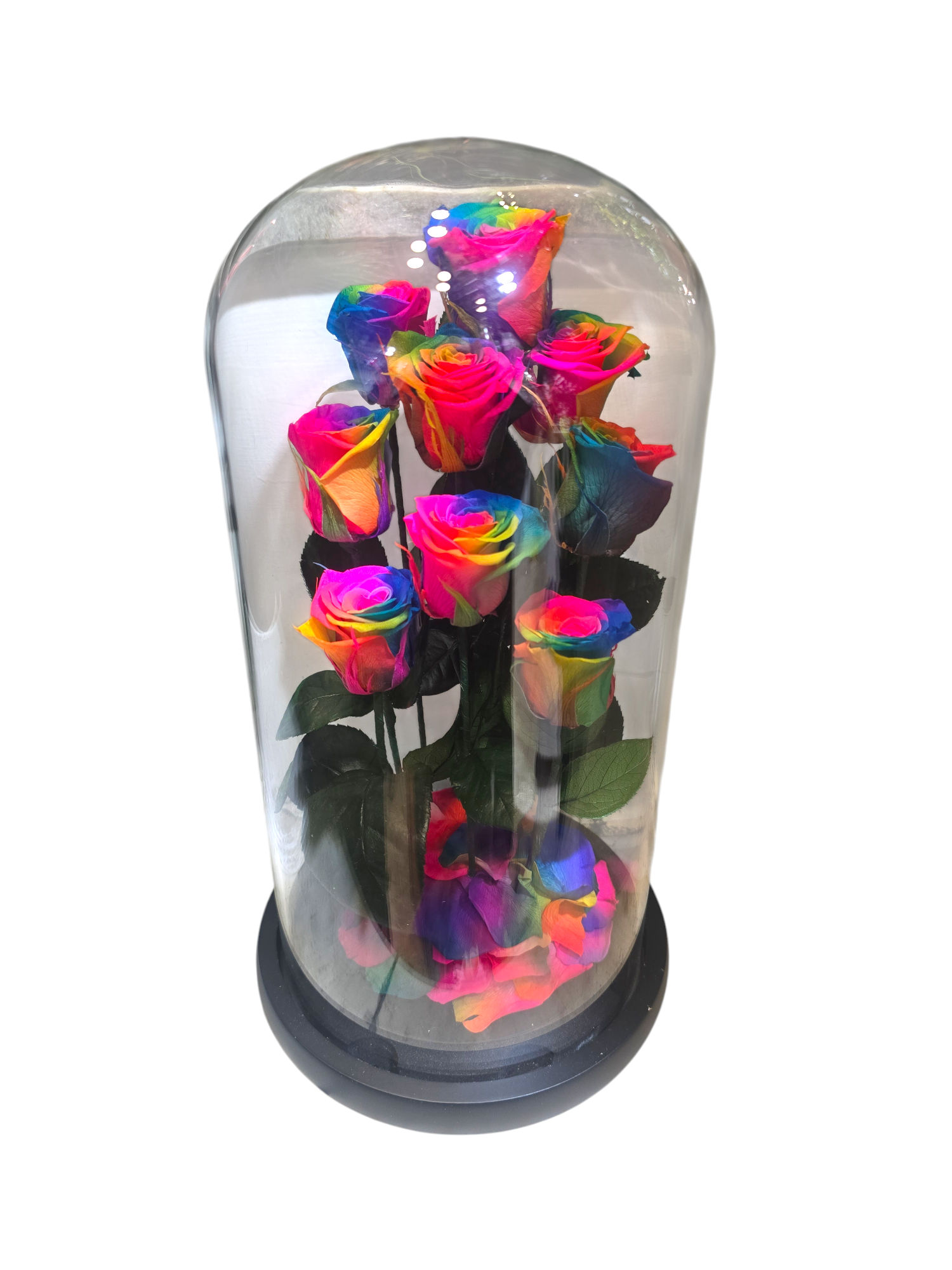 Featured image for “Cloche con Rose Stabilizzate – Bouquet di 9 Rose sotto Vetro (4 colori)”