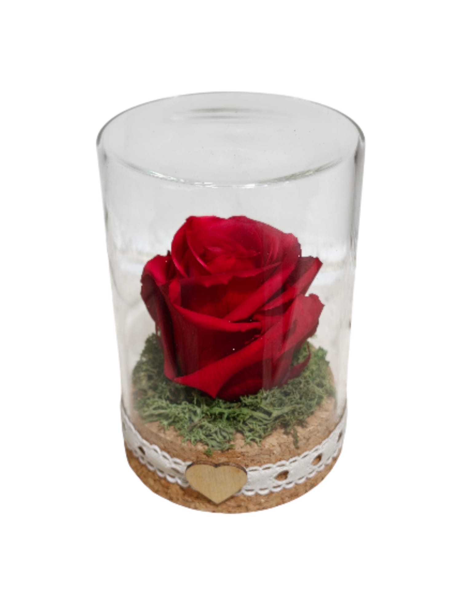 Featured image for “CILINDRO MEDIO CON ROSA STABILIZZATA”