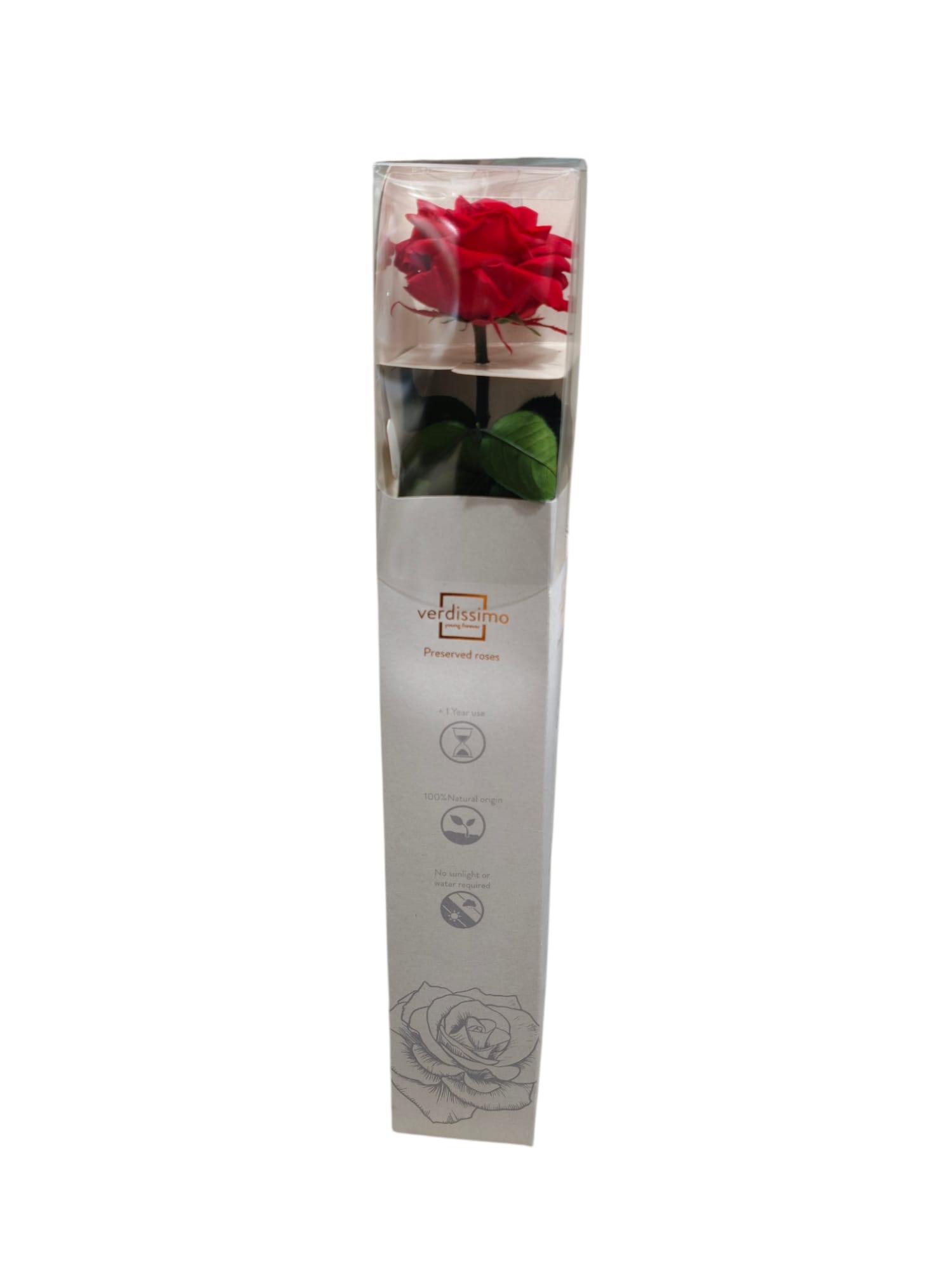 Featured image for “Rosa stabilizzata a gambo lungo in scatola – Eleganza che dura nel tempo”