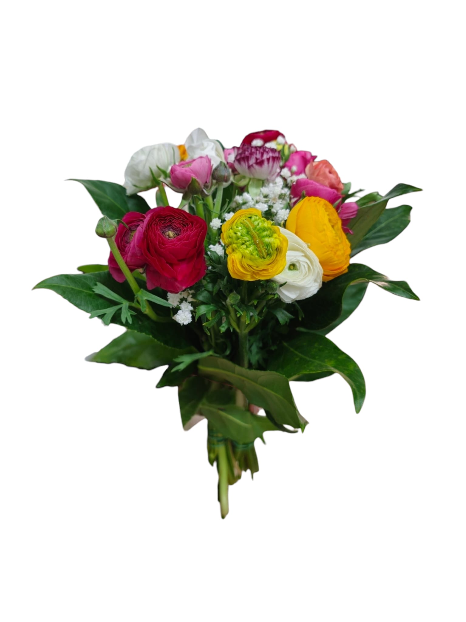 Featured image for “Bouquet di ranuncoli colorati”