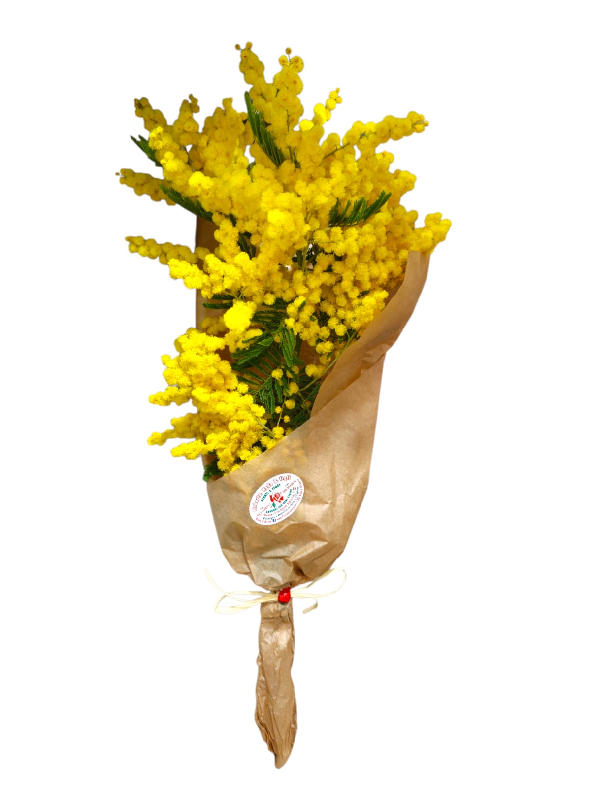 Featured image for “Mazzo di Mimosa con Carta Pane”