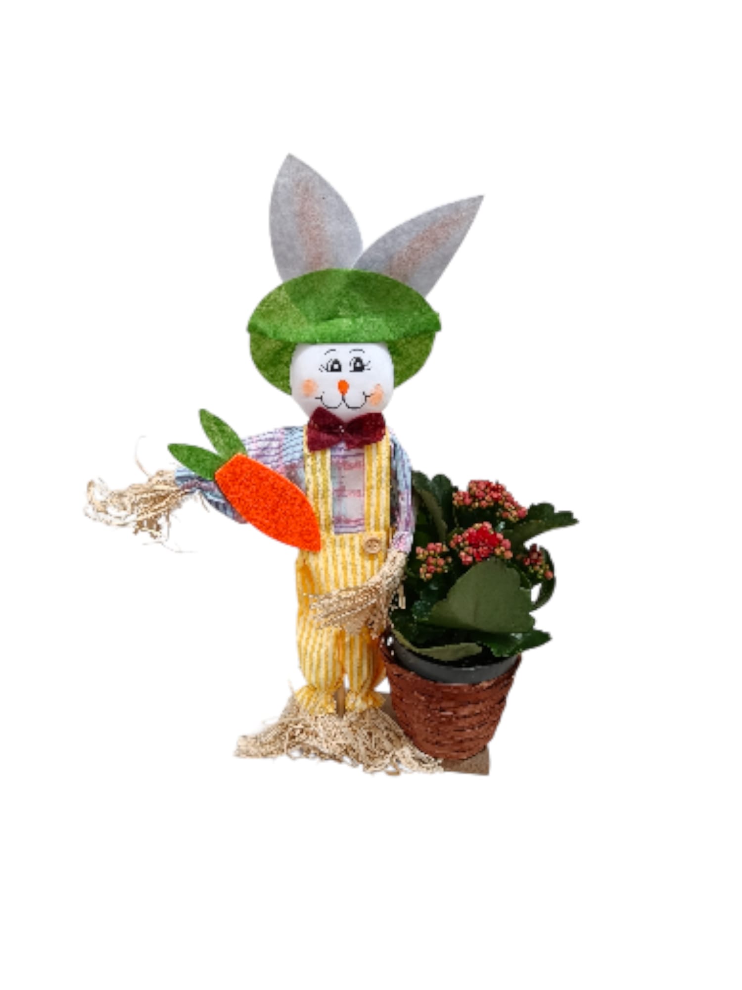 Spaventapasseri con Kalanchoe - immagine 2