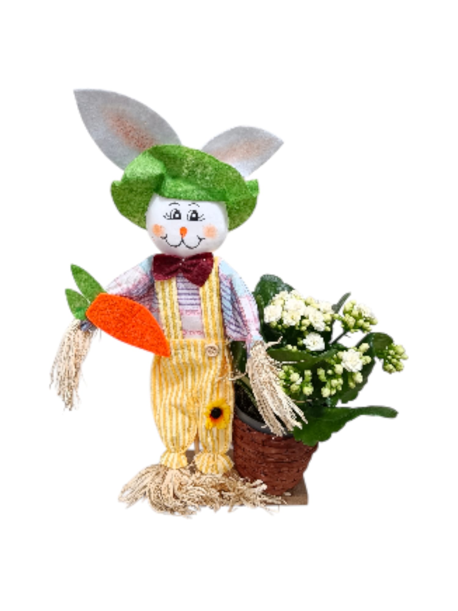 Spaventapasseri con Kalanchoe - immagine 4