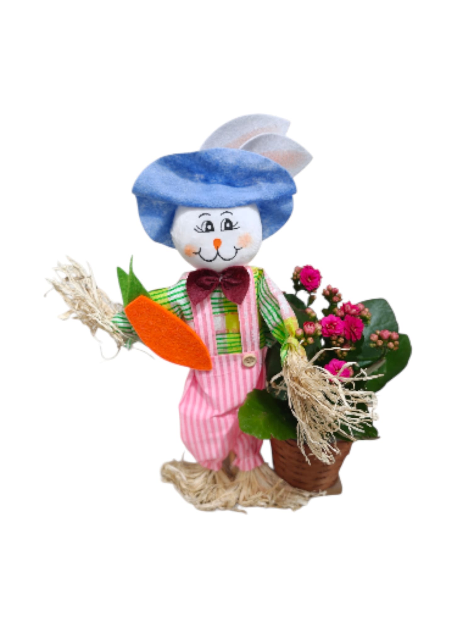 Spaventapasseri con Kalanchoe - immagine 5