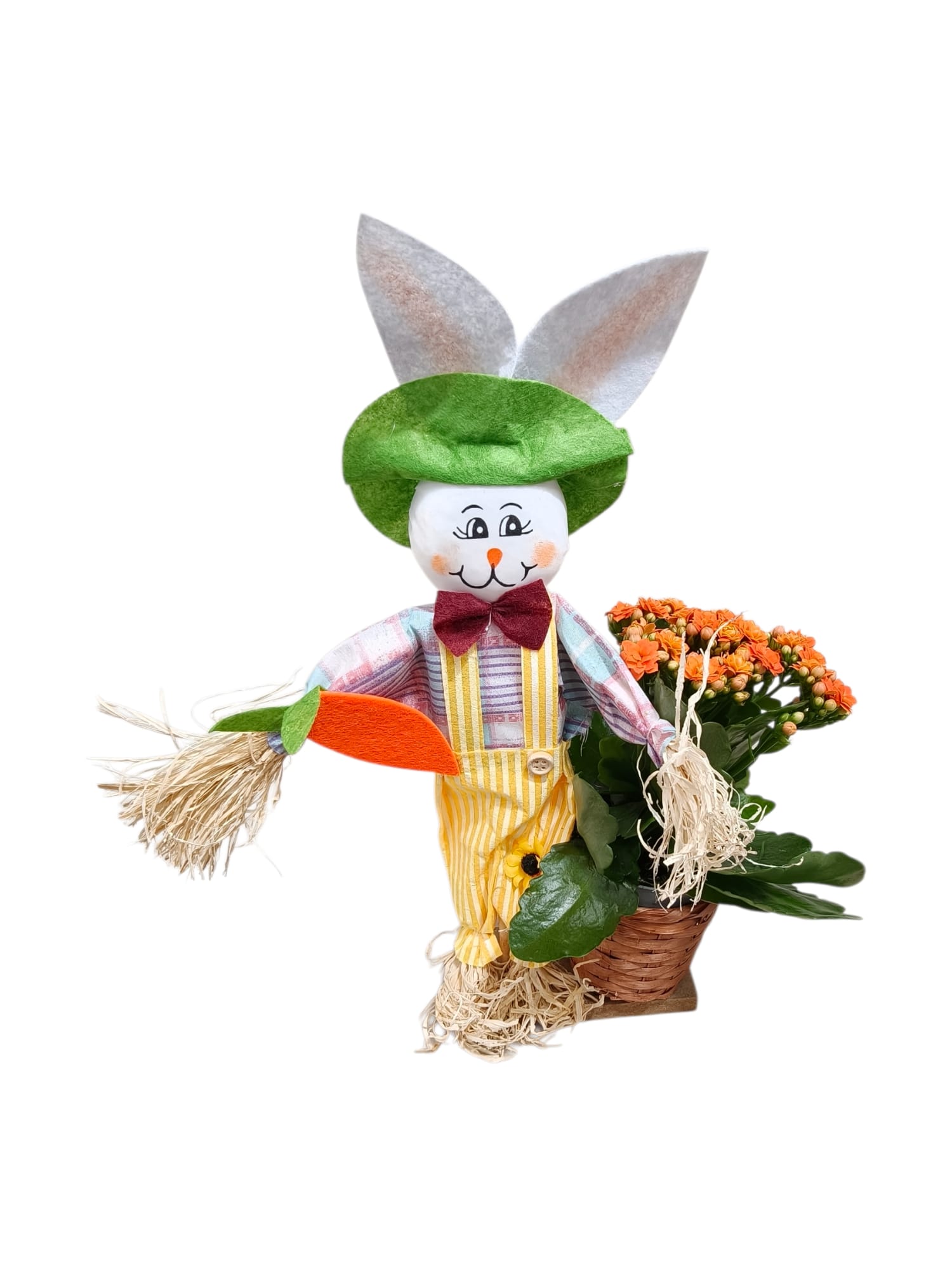 Spaventapasseri con Kalanchoe - immagine 6