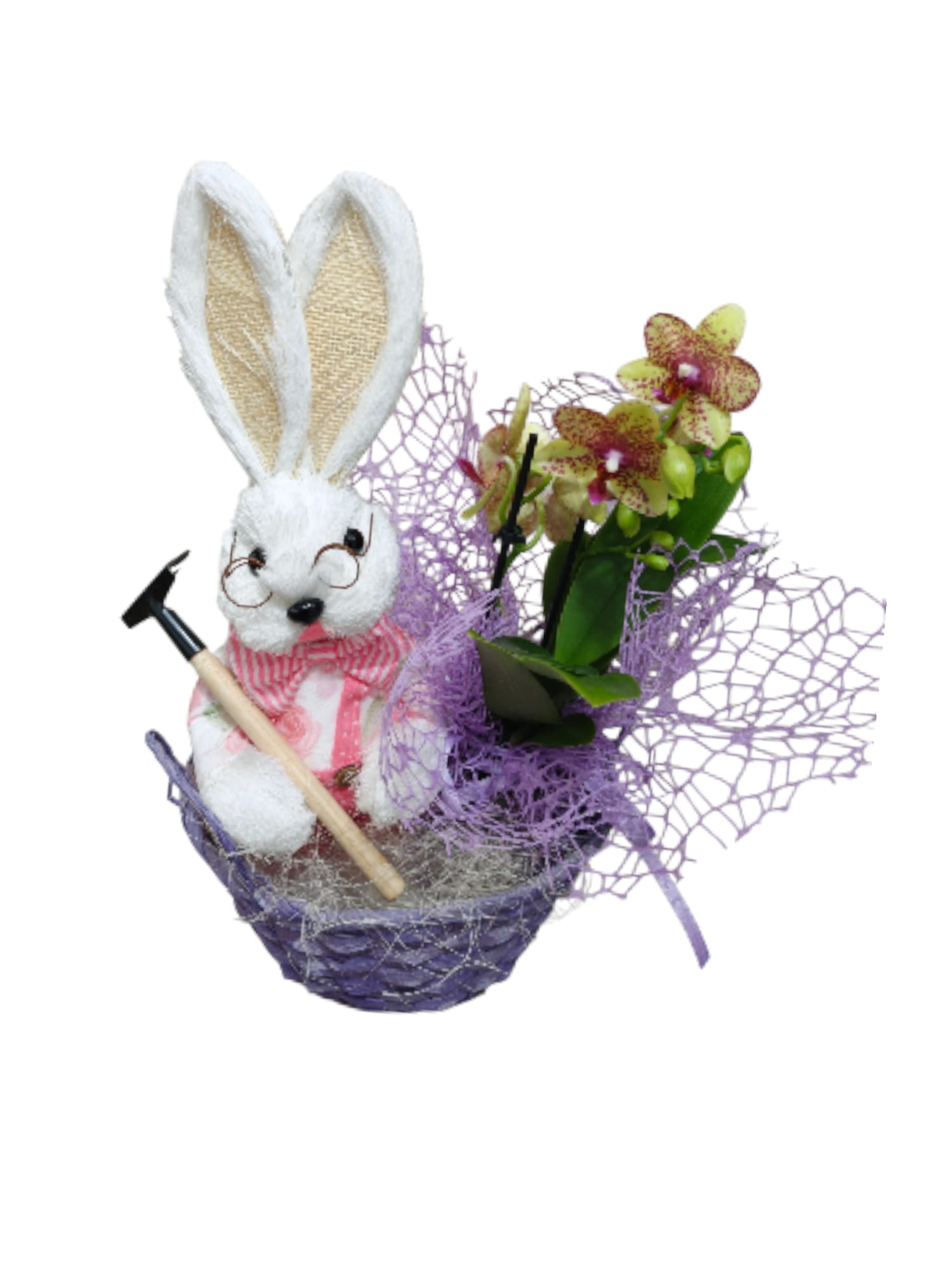 Cestino grande con coniglietto con occhiali e orchidea Phalaenopsis - immagine 3