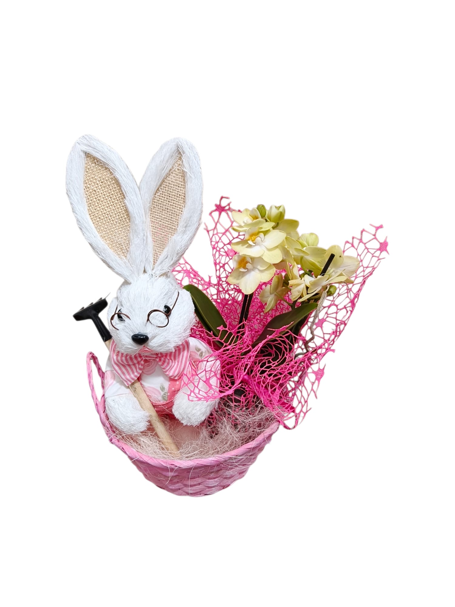 Cestino grande con coniglietto con occhiali e orchidea Phalaenopsis - immagine 4