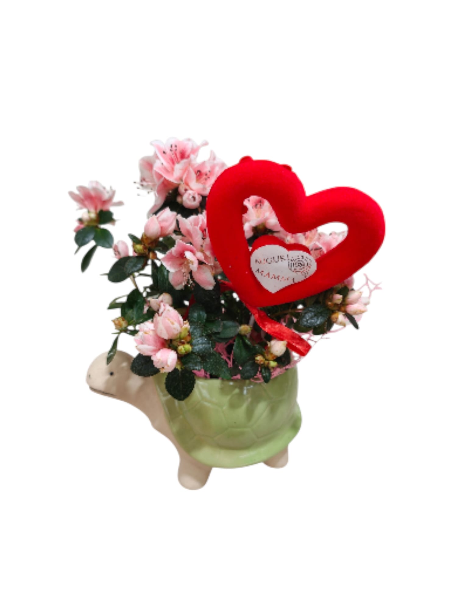 Tartaruga fiorita con azalea - immagine 2