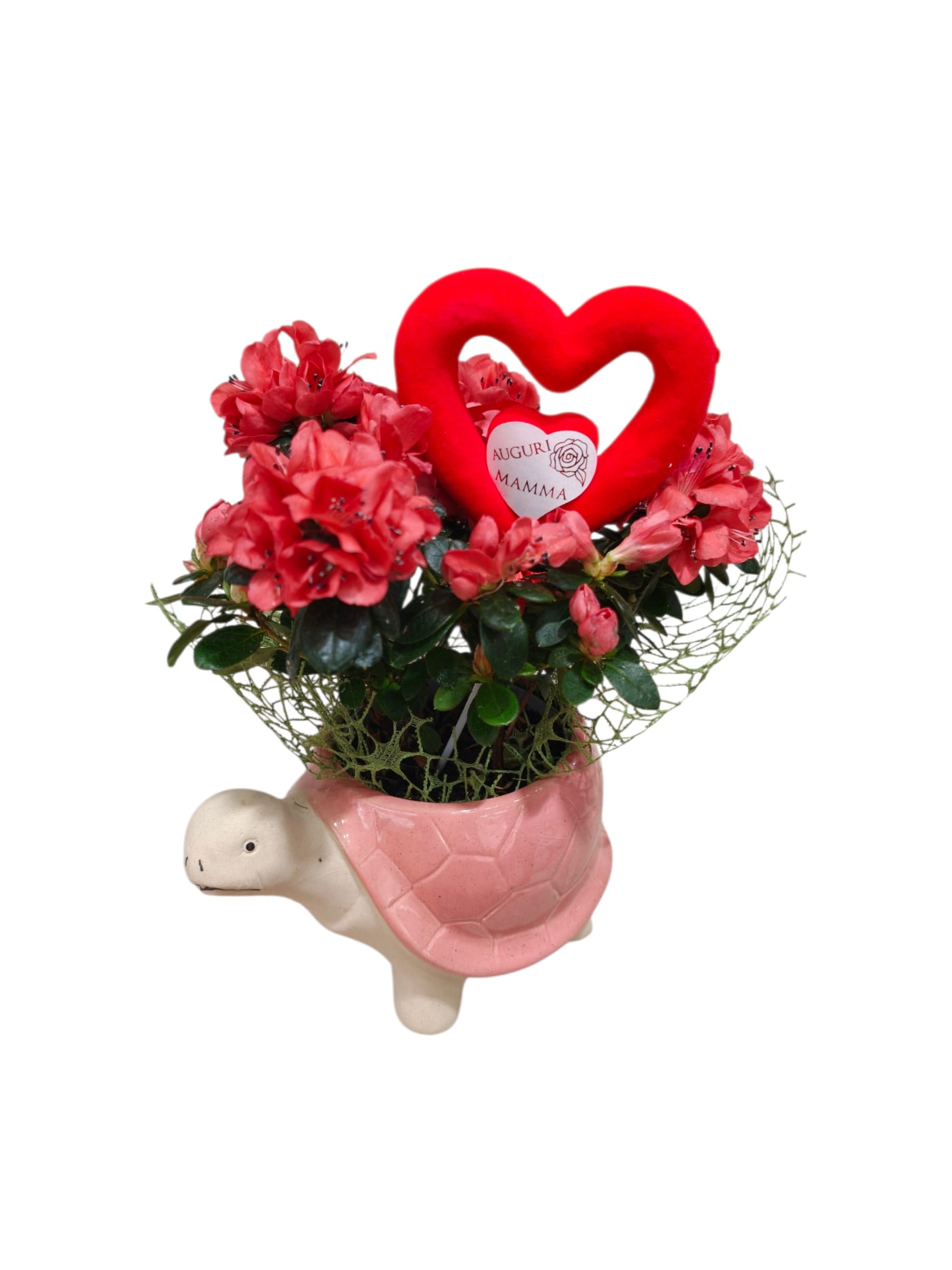 Featured image for “Tartaruga fiorita con azalea”