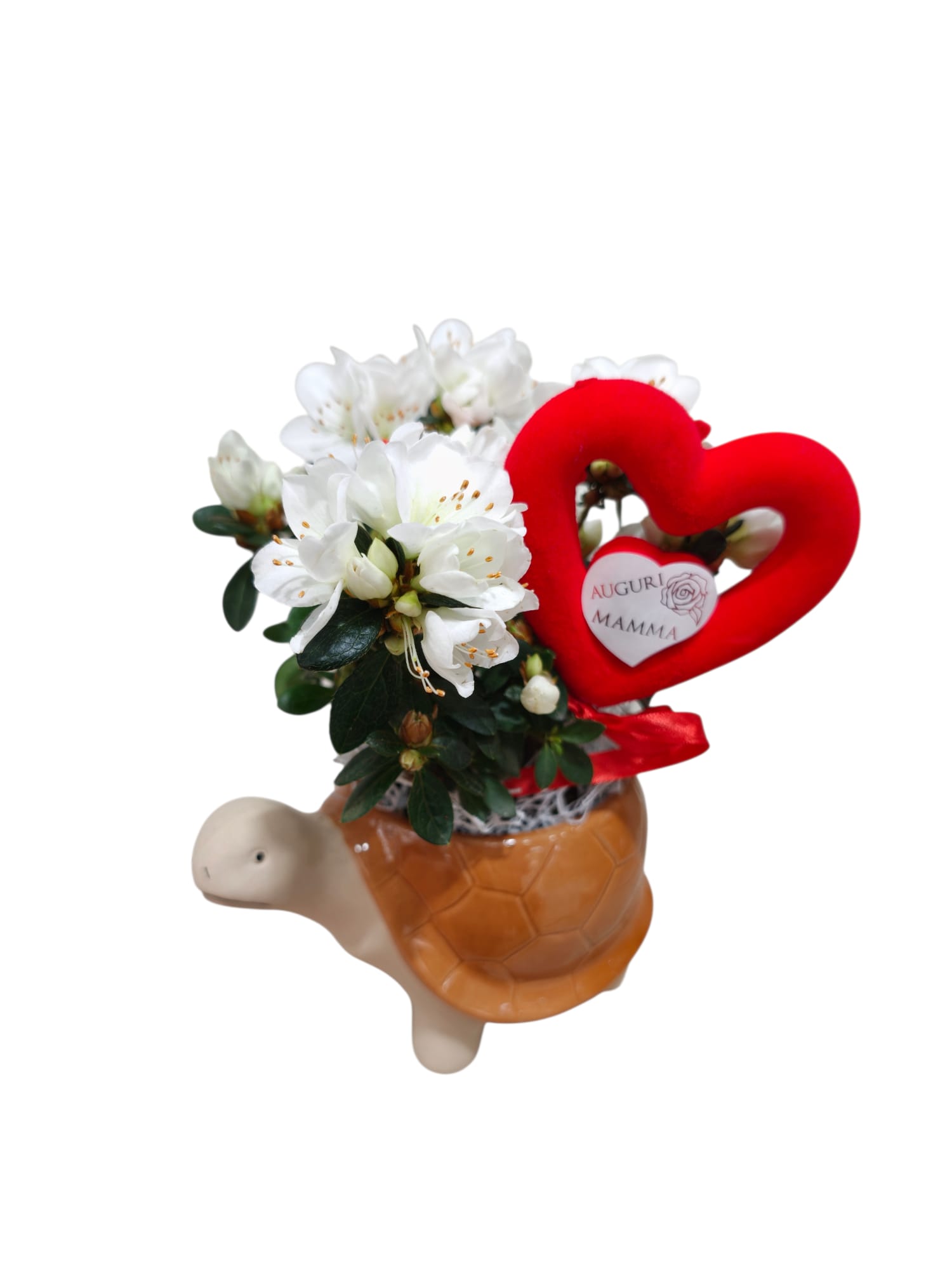 Tartaruga fiorita con azalea - immagine 4