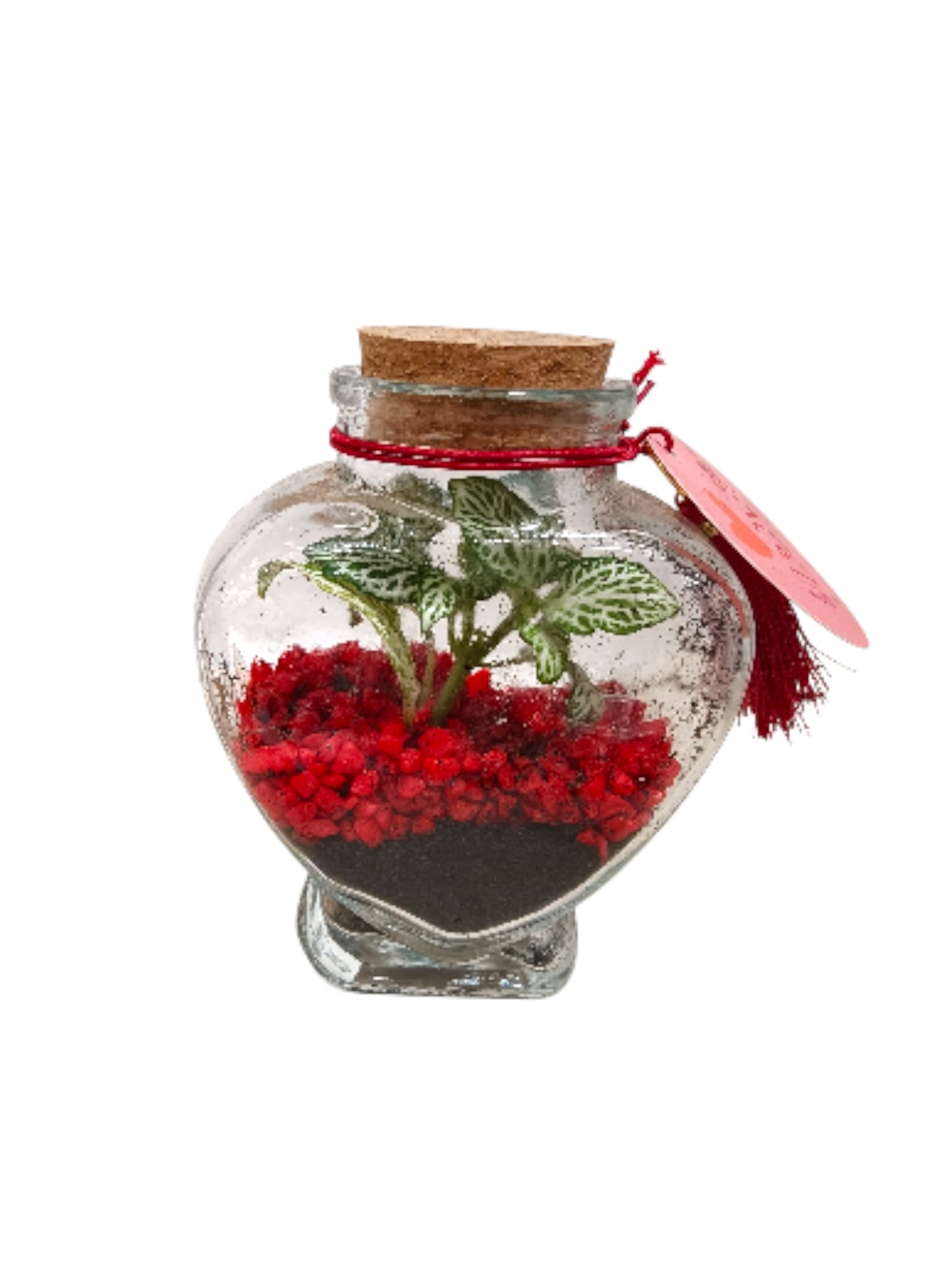 Featured image for “Terrarium piccolo a forma di cuore”