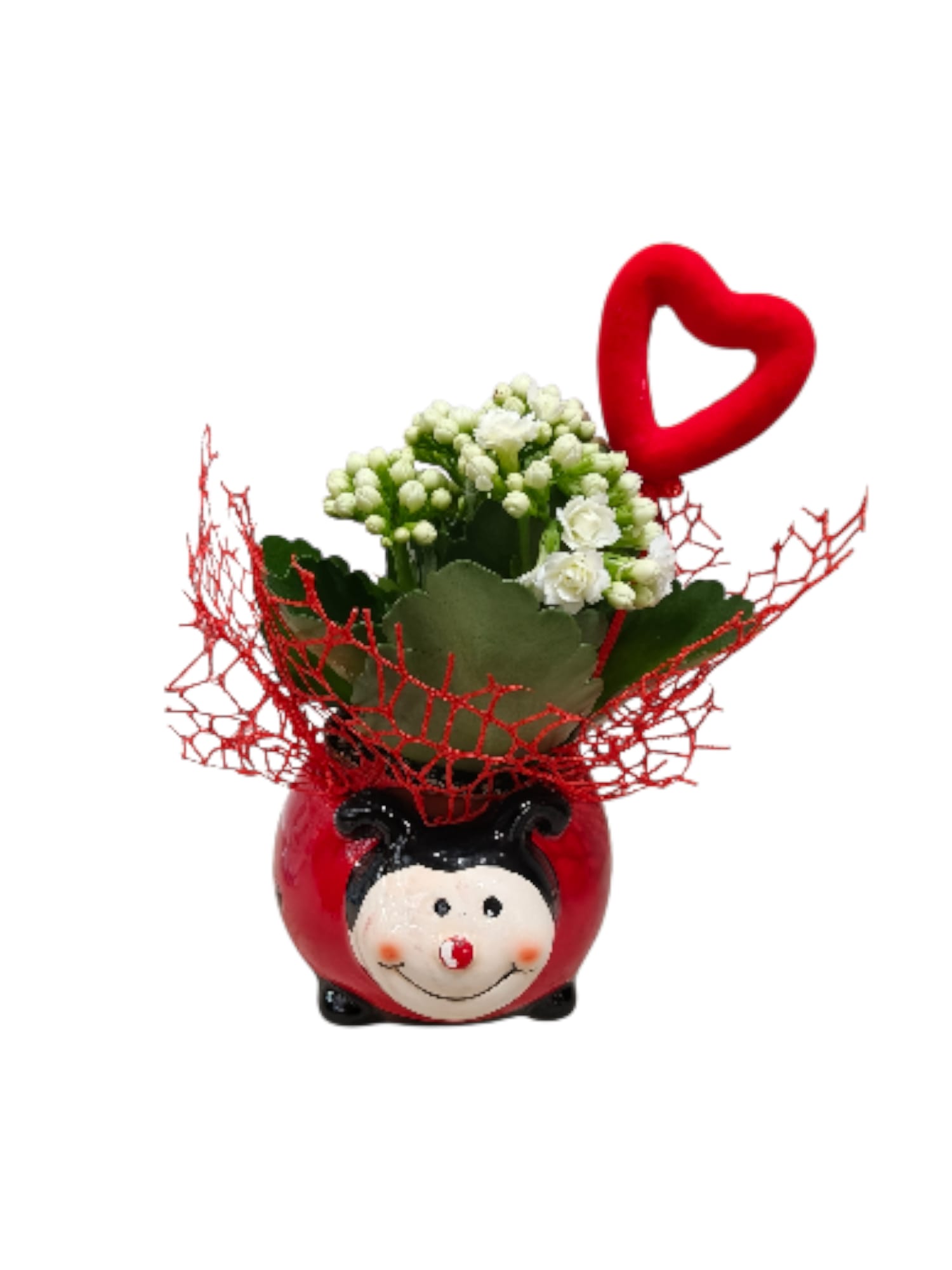 Coccinella fiorita con Kalanchoe - immagine 2