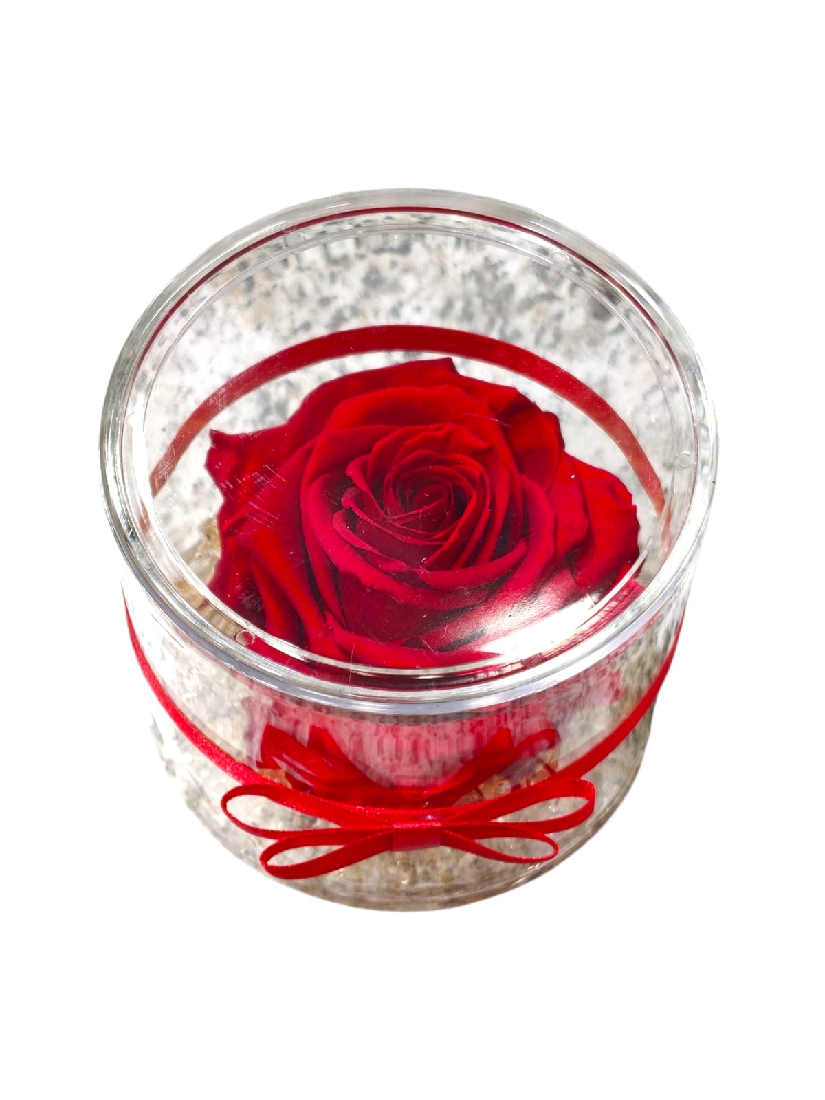 Featured image for “Rosa stabilizzata in cilindro trasparente con coperchio”